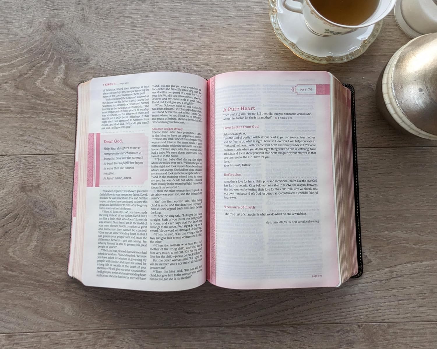 NLT Thrive Devotional Bible For Women Cascade Deep Brown