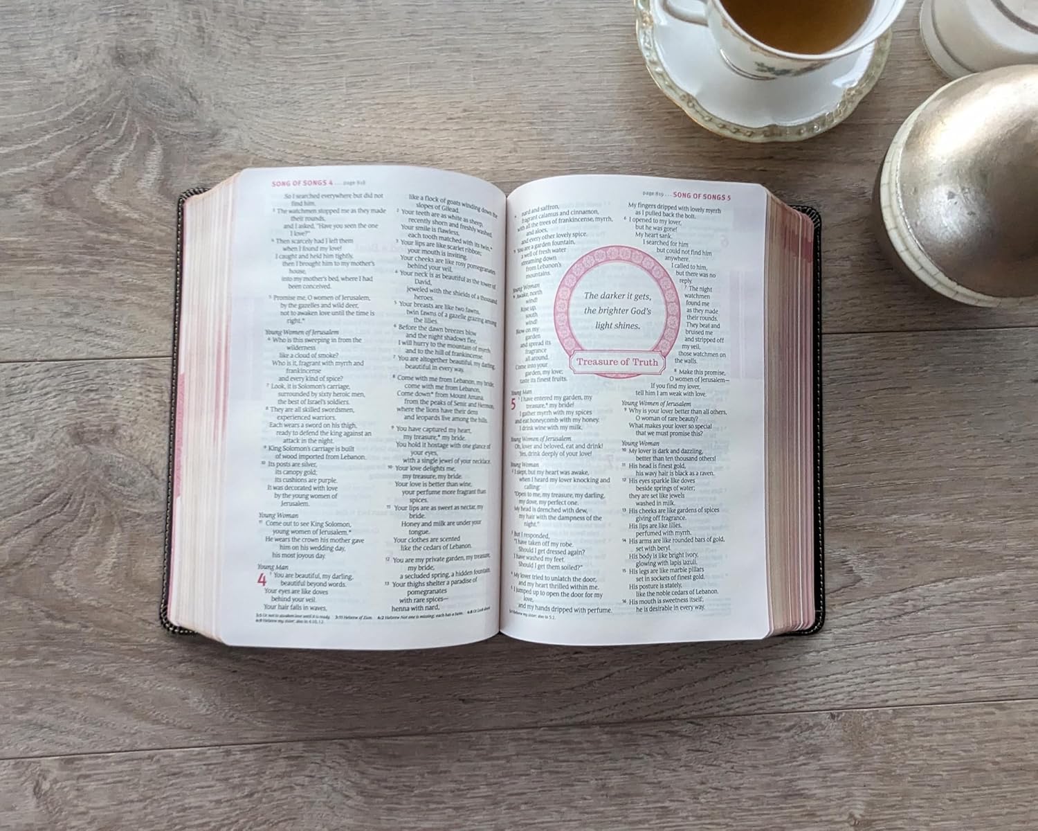NLT Thrive Devotional Bible For Women Cascade Deep Brown