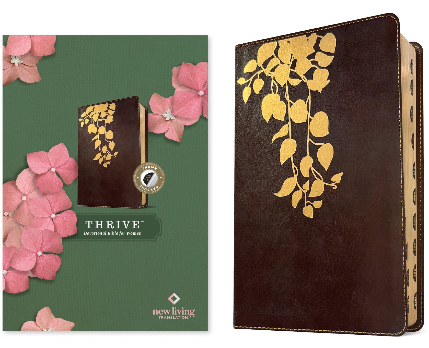 NLT Thrive Devotional Bible For Women Cascade Deep Brown Indexed