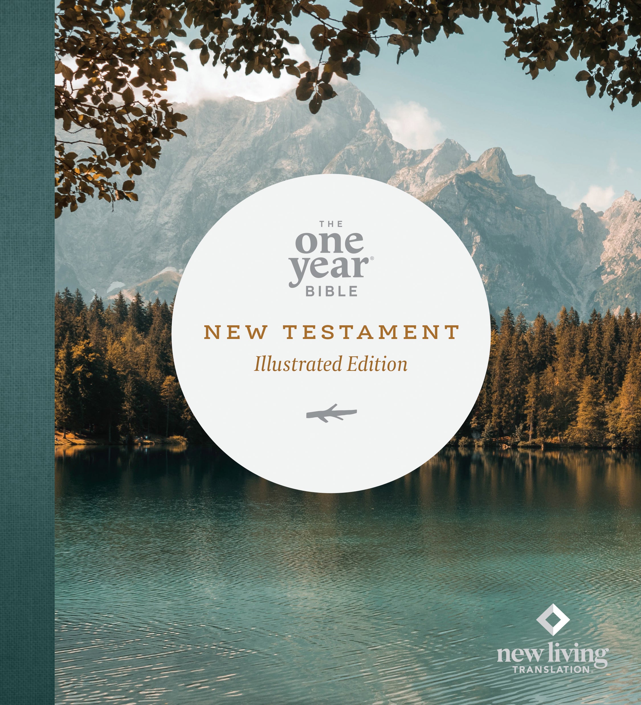 NLT One Year Bible New Testament Lakeside Haven