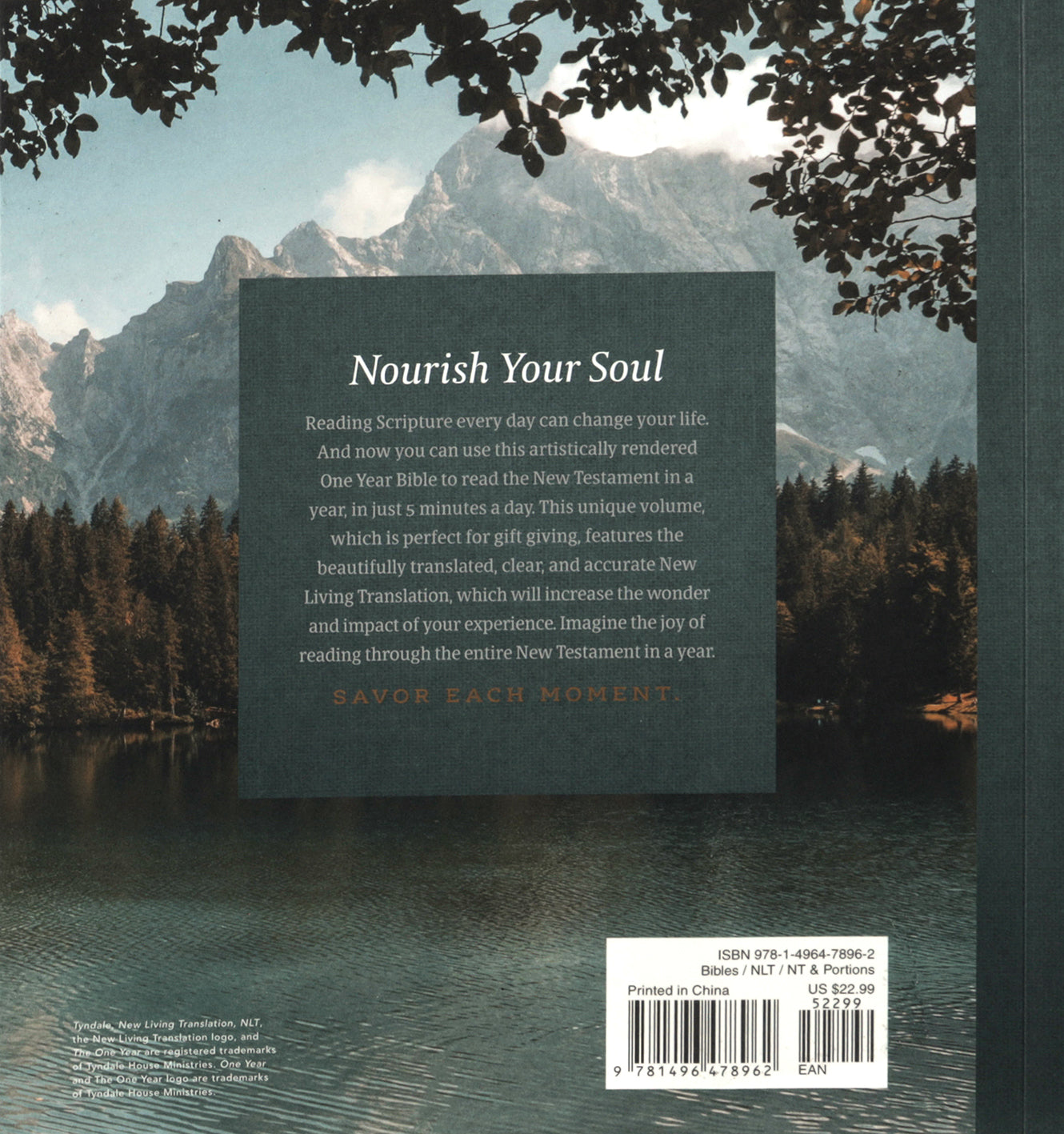 NLT One Year Bible New Testament Lakeside Haven