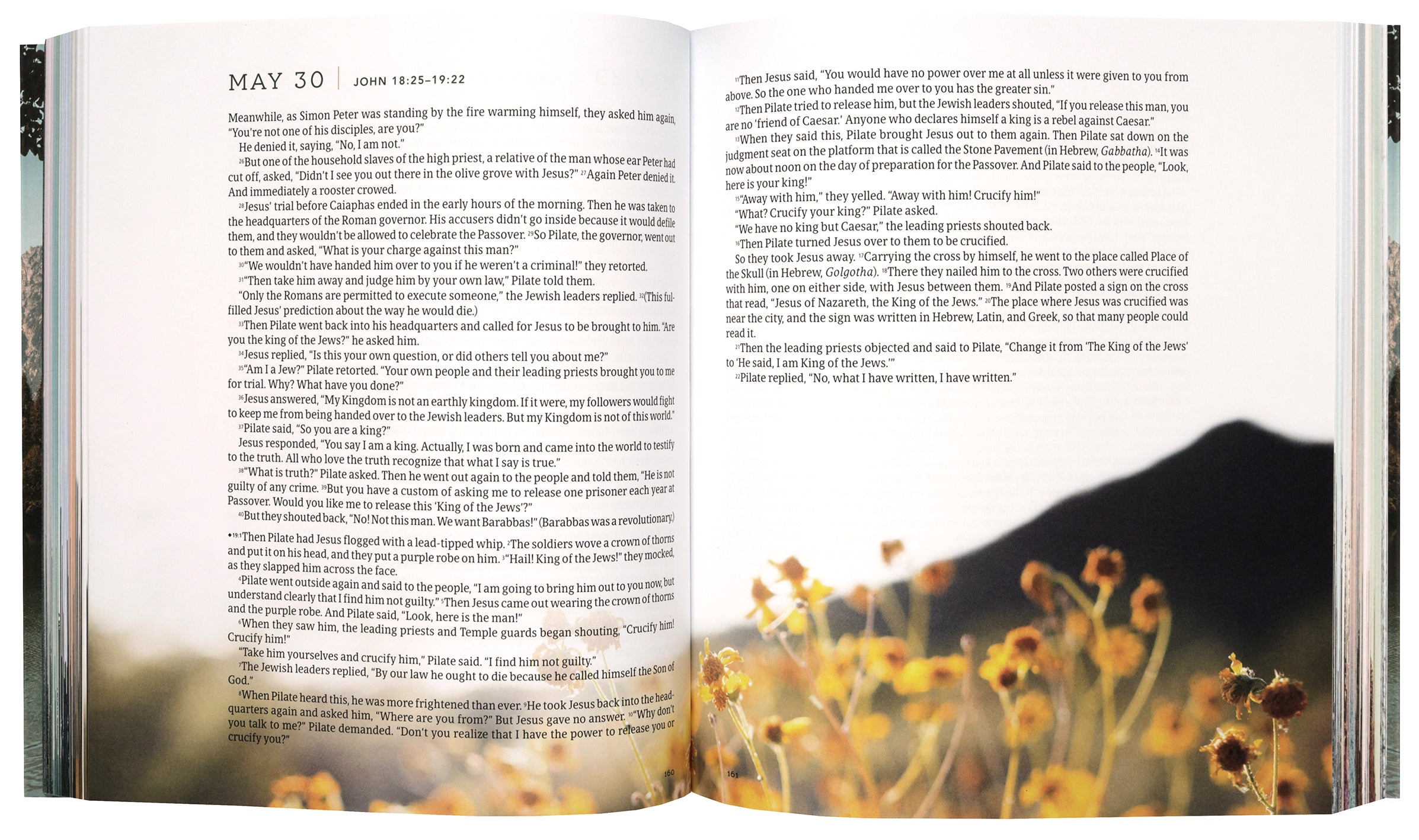 NLT One Year Bible New Testament Lakeside Haven