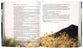 NLT One Year Bible New Testament Lakeside Haven