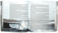 NLT One Year Bible New Testament Lakeside Haven