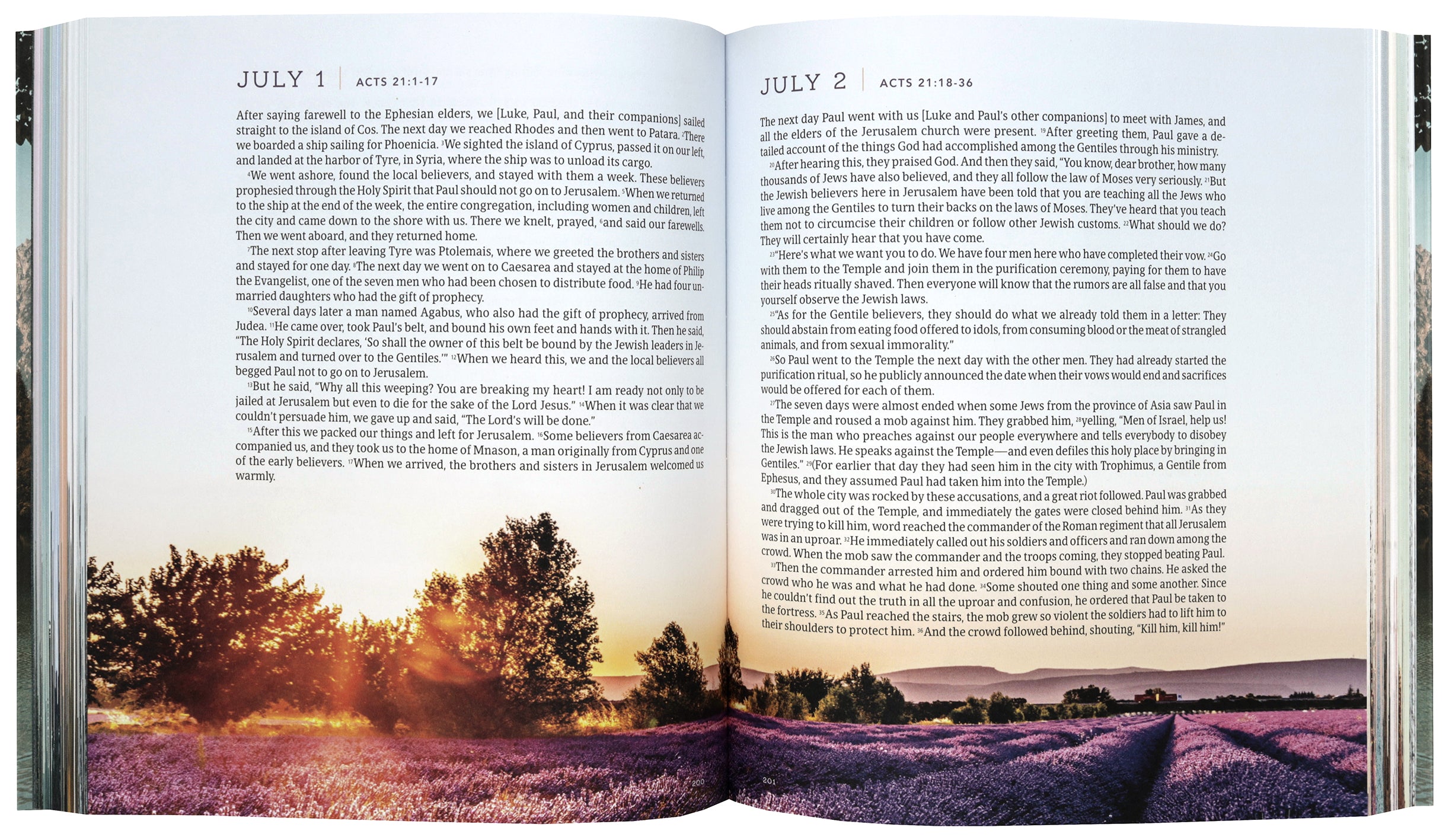 NLT One Year Bible New Testament Lakeside Haven