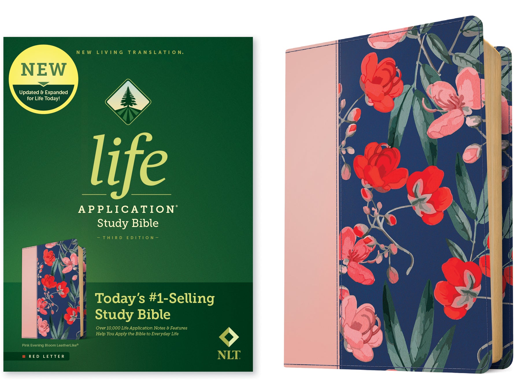 NLT Life Application Study Bible Third Edition Pink Evening Bloom (Red Letter Edition)
