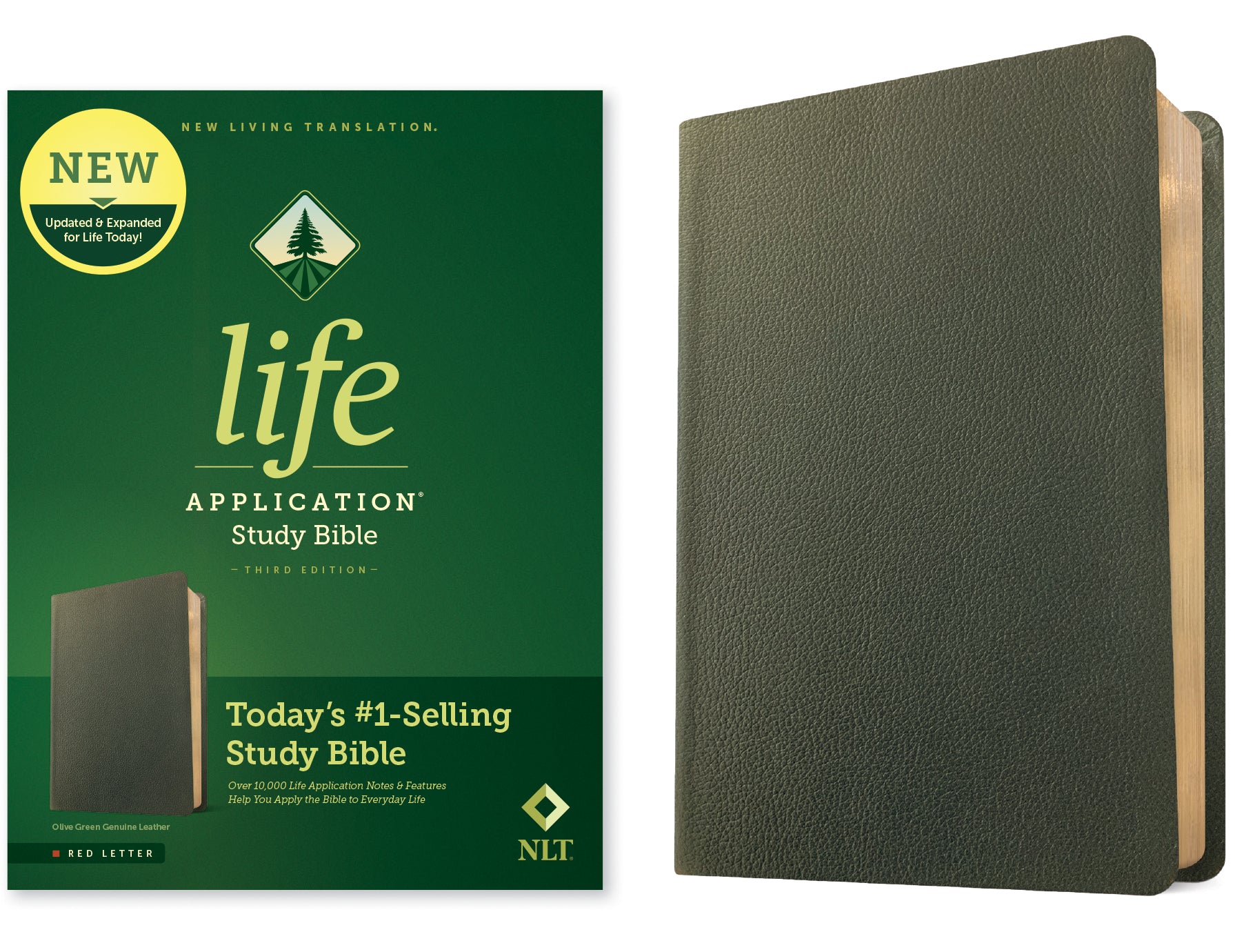 NLT Life Application Study Bible Third Edition Olive Green (Red Letter Edition)