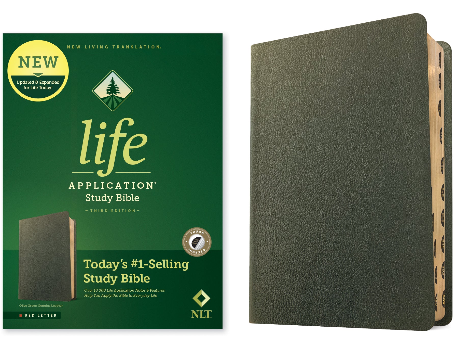 NLT Life Application Study Bible Third Edition Olive Green Indexed (Red Letter Edition)