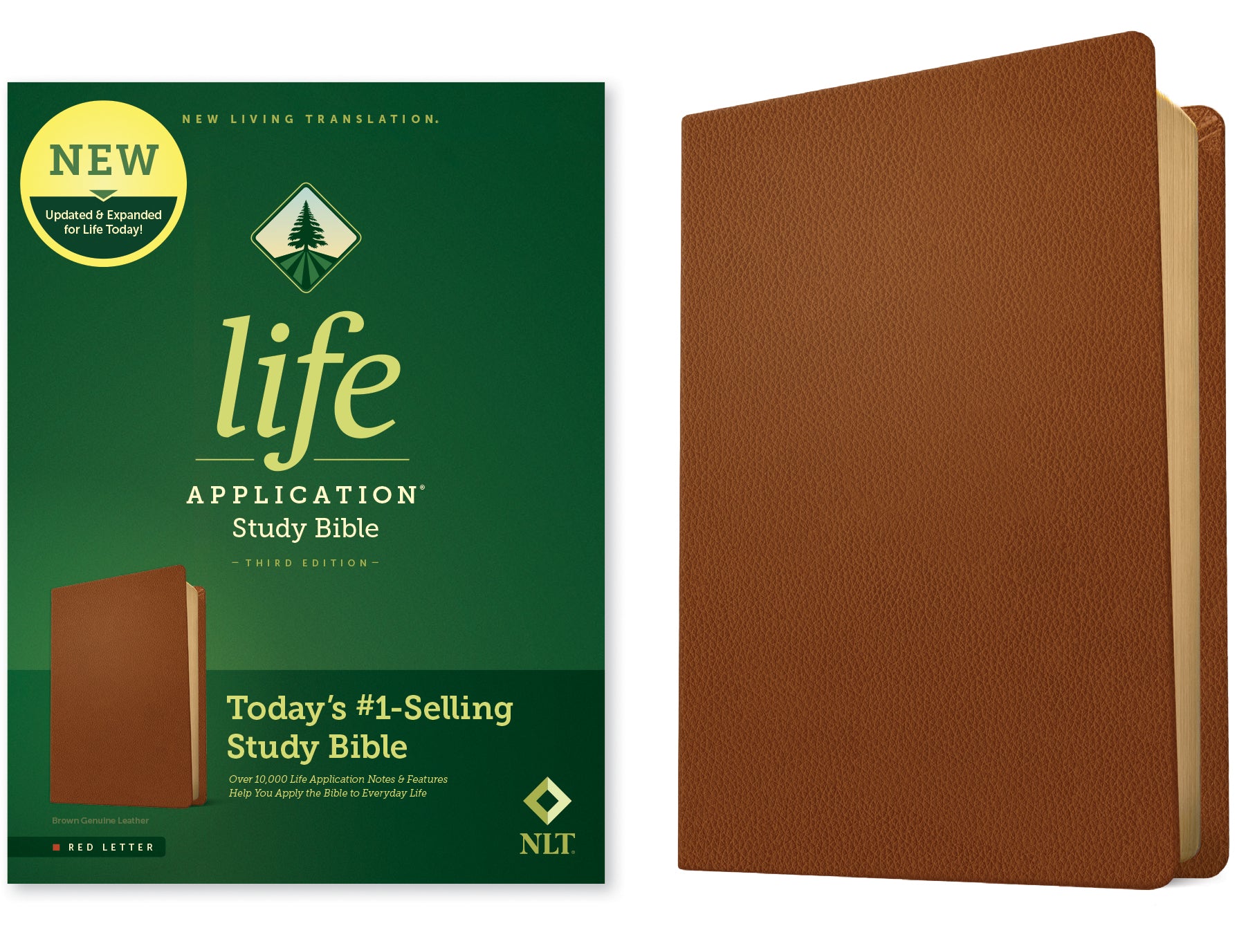NLT Life Application Study Bible Third Edition Brown (Red Letter Edition)