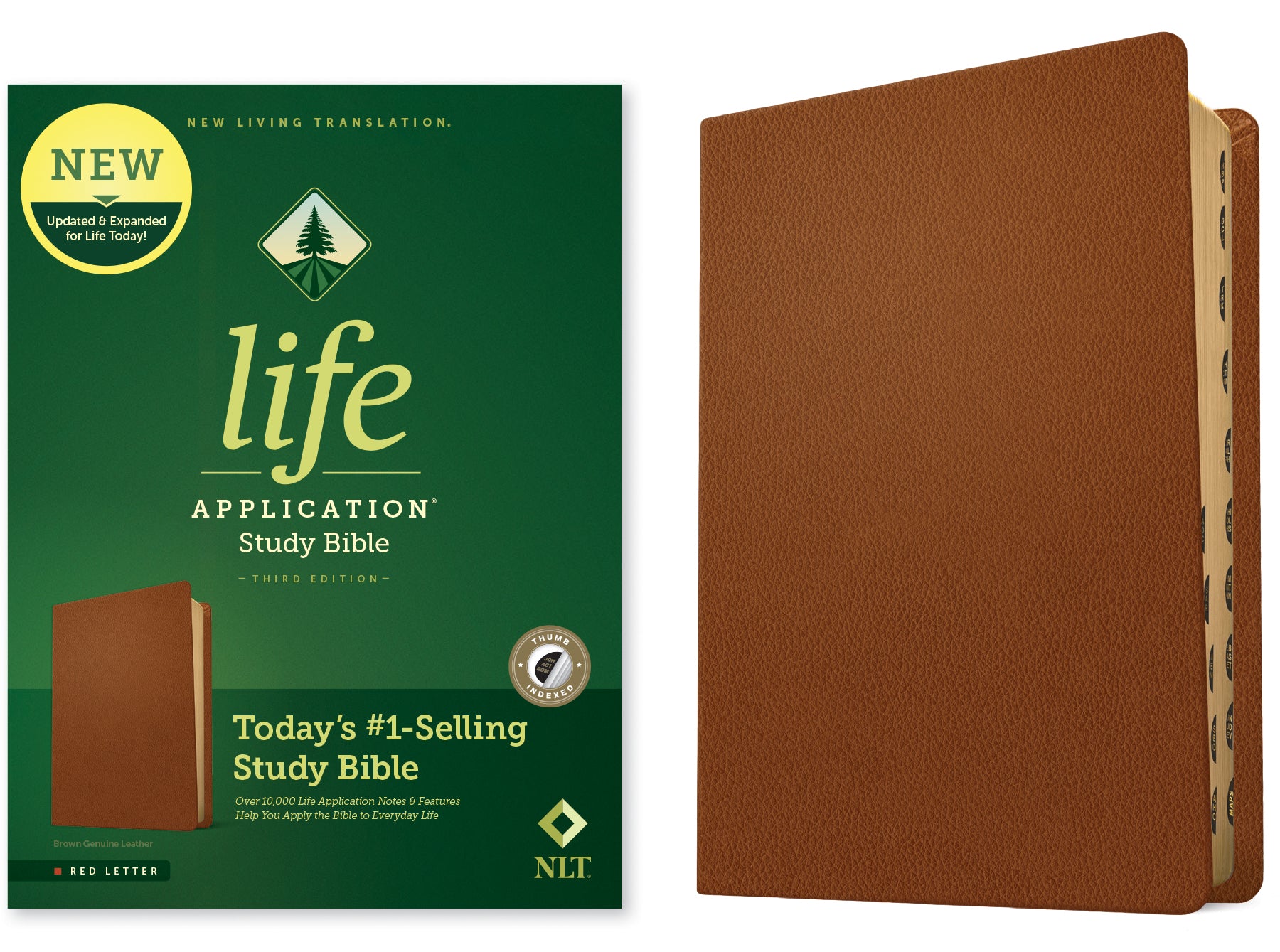 NLT Life Application Study Bible Third Edition Brown Indexed (Red Letter Edition)