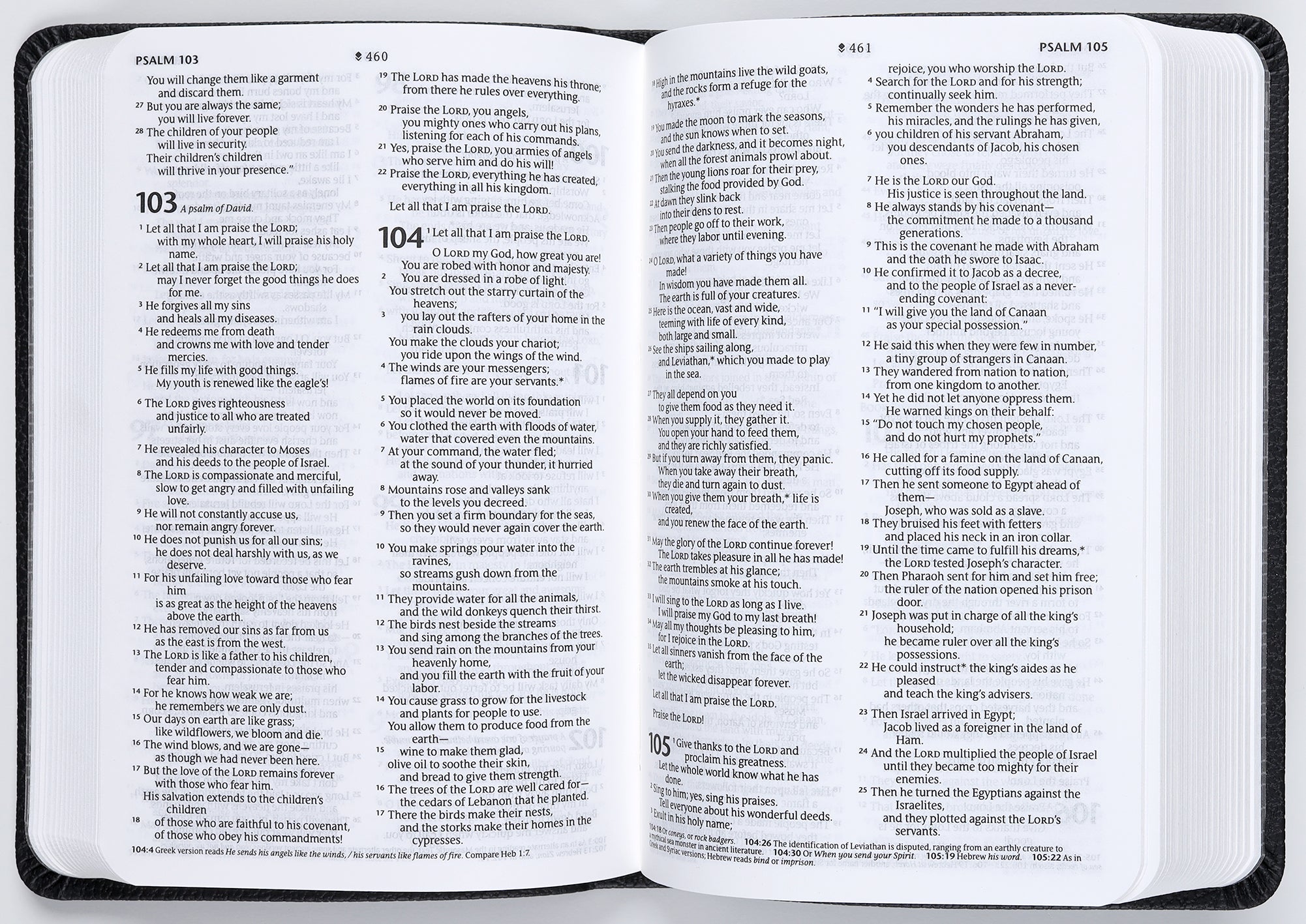 NLT Premium Value Compact Bible Filament Enabled Edition Black Mountainscape