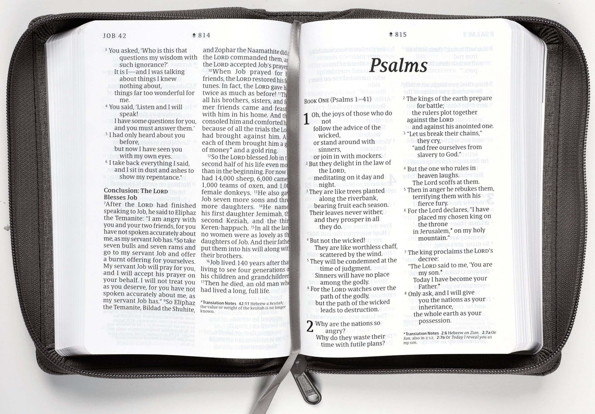 NLT Compact Giant Print Zipper Bible Filament-Enabled Edition Woven Cross Gray (Red Letter Edition)