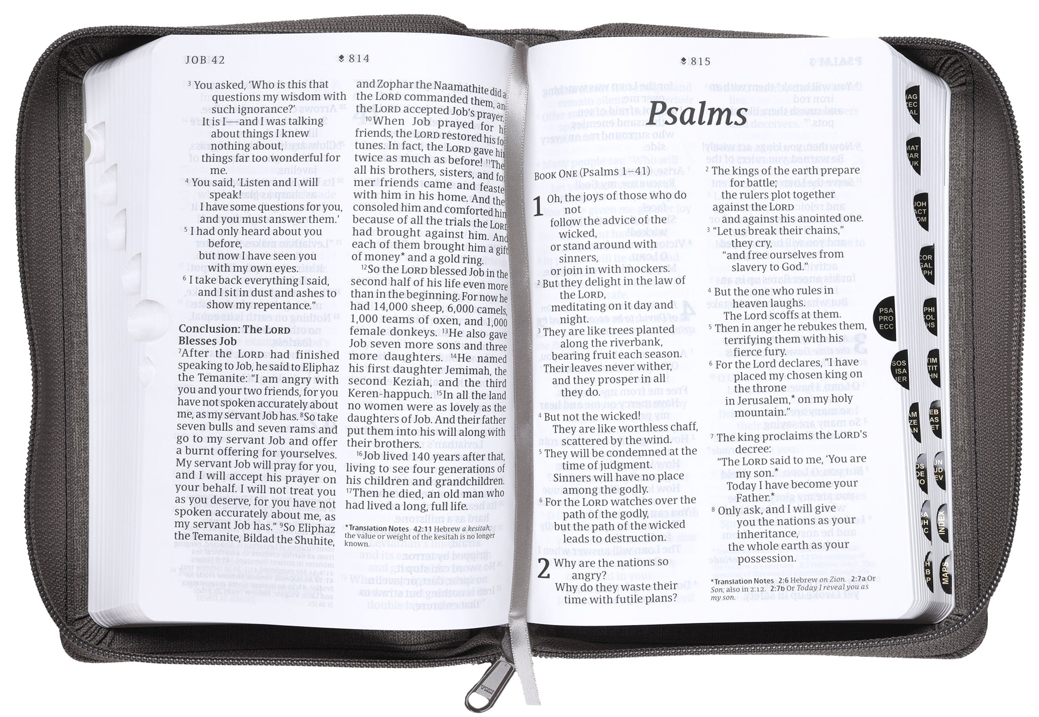 NLT Compact Giant Print Zipper Bible Filament-Enabled Edition Woven Cross Gray Indexed (Red Letter Edition)