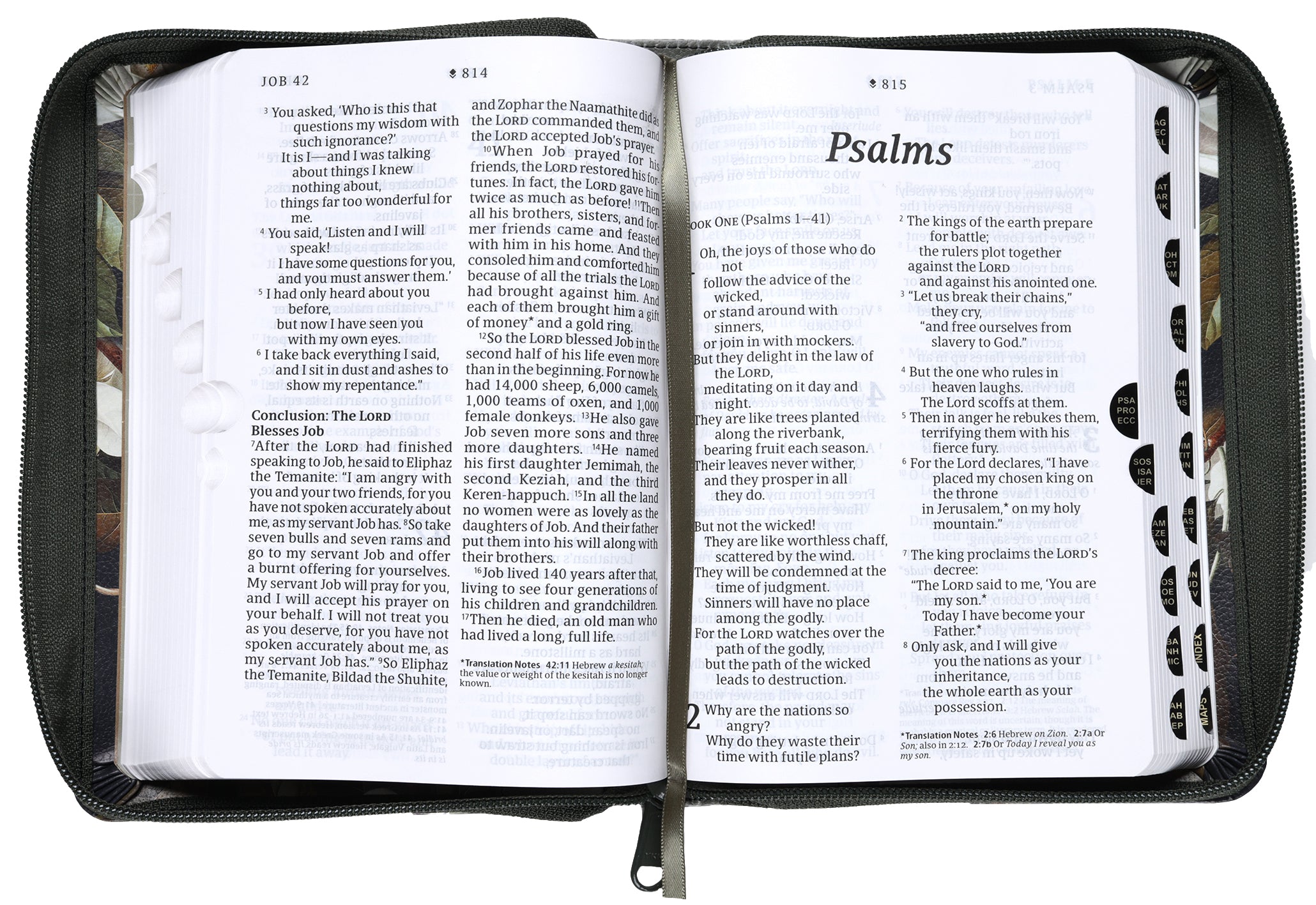 NLT Compact Giant Print Zipper Bible Filament-Enabled Edition Magnolia Sage Green Indexed (Red Letter Edition)