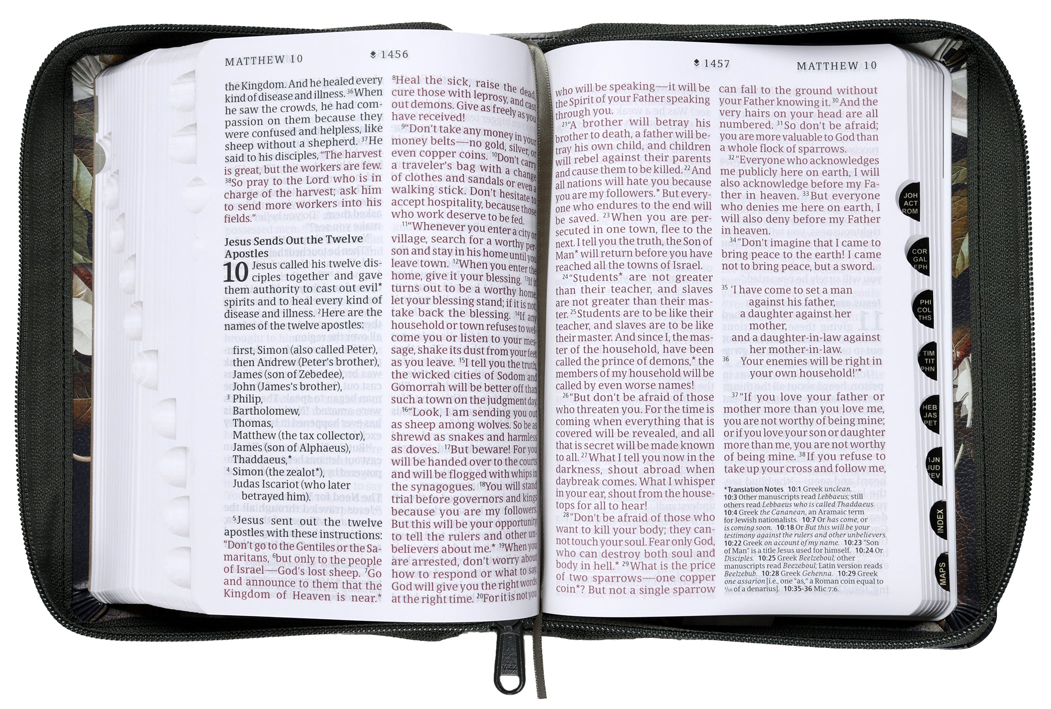 NLT Compact Giant Print Zipper Bible Filament-Enabled Edition Magnolia Sage Green Indexed (Red Letter Edition)