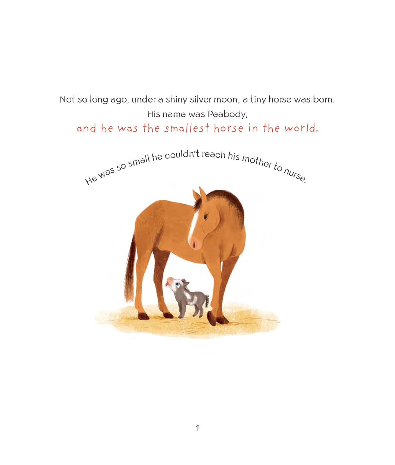 Peabody the Mini Horse
