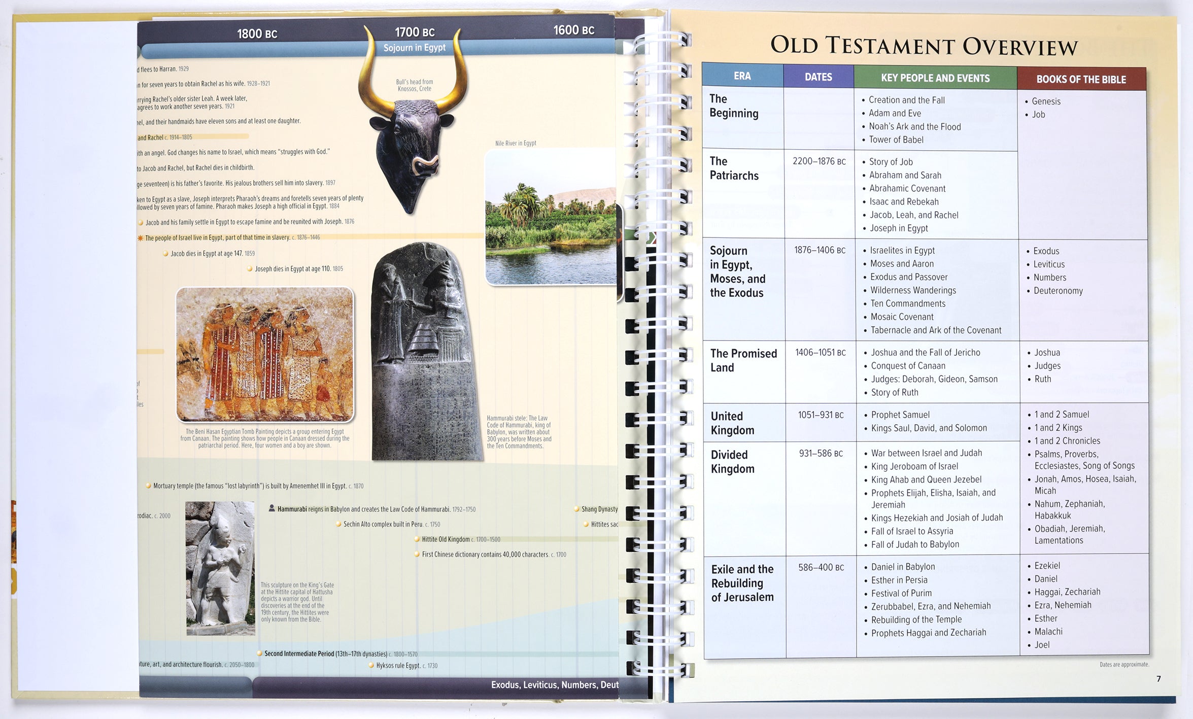 Rose Deluxe Timelines: Bible and Christian History (Reproducible)