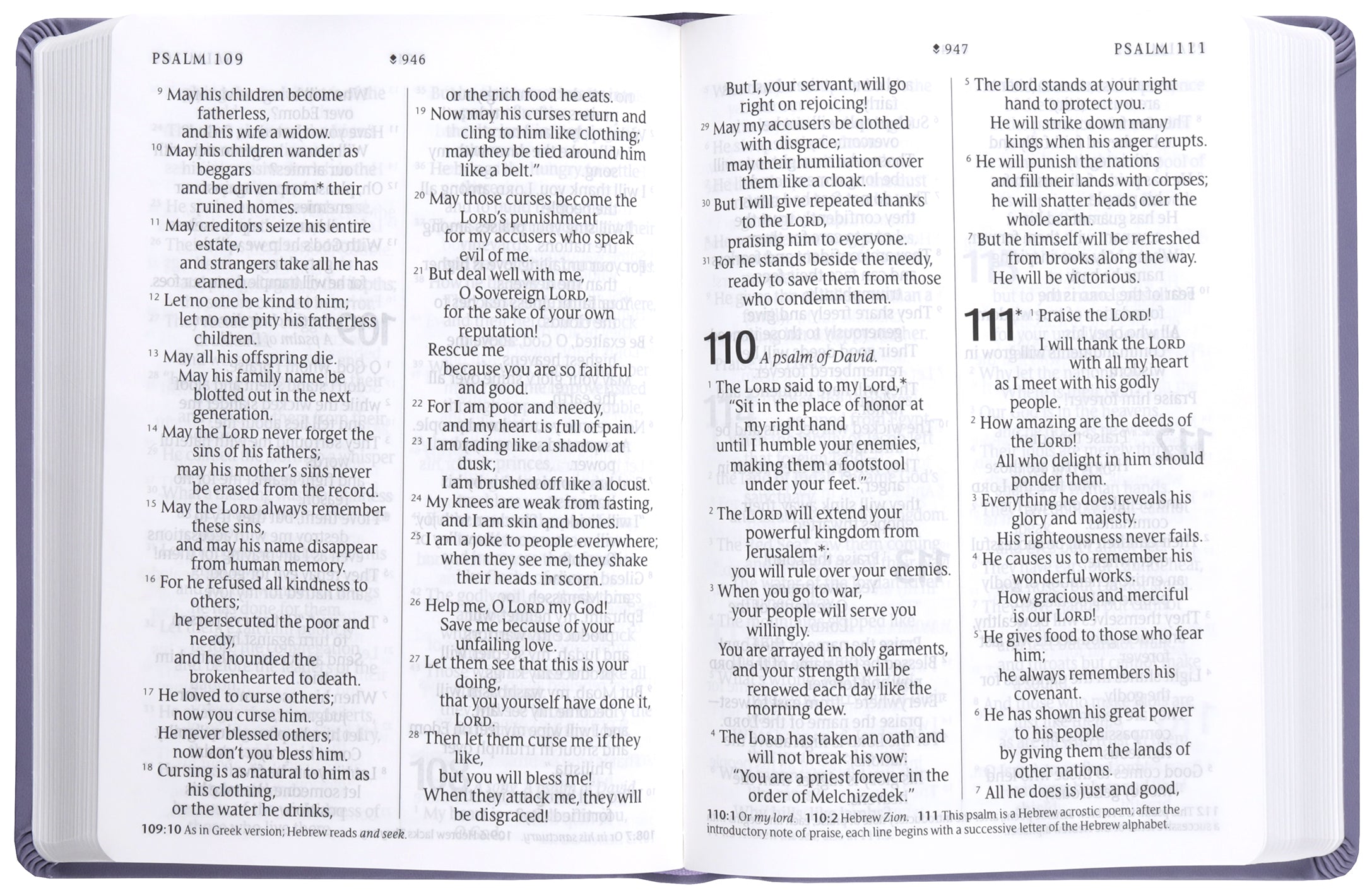 NLT Giant Print Premium Value Bible, Filament-Enabled Edition, Lavender Vine