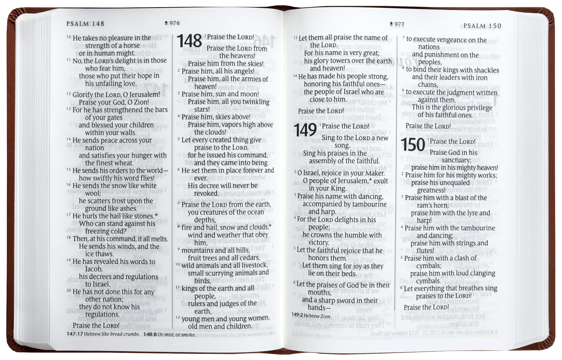 NLT Giant Print Premium Value Bible, Filament-Enabled Edition, British Tan Mountain