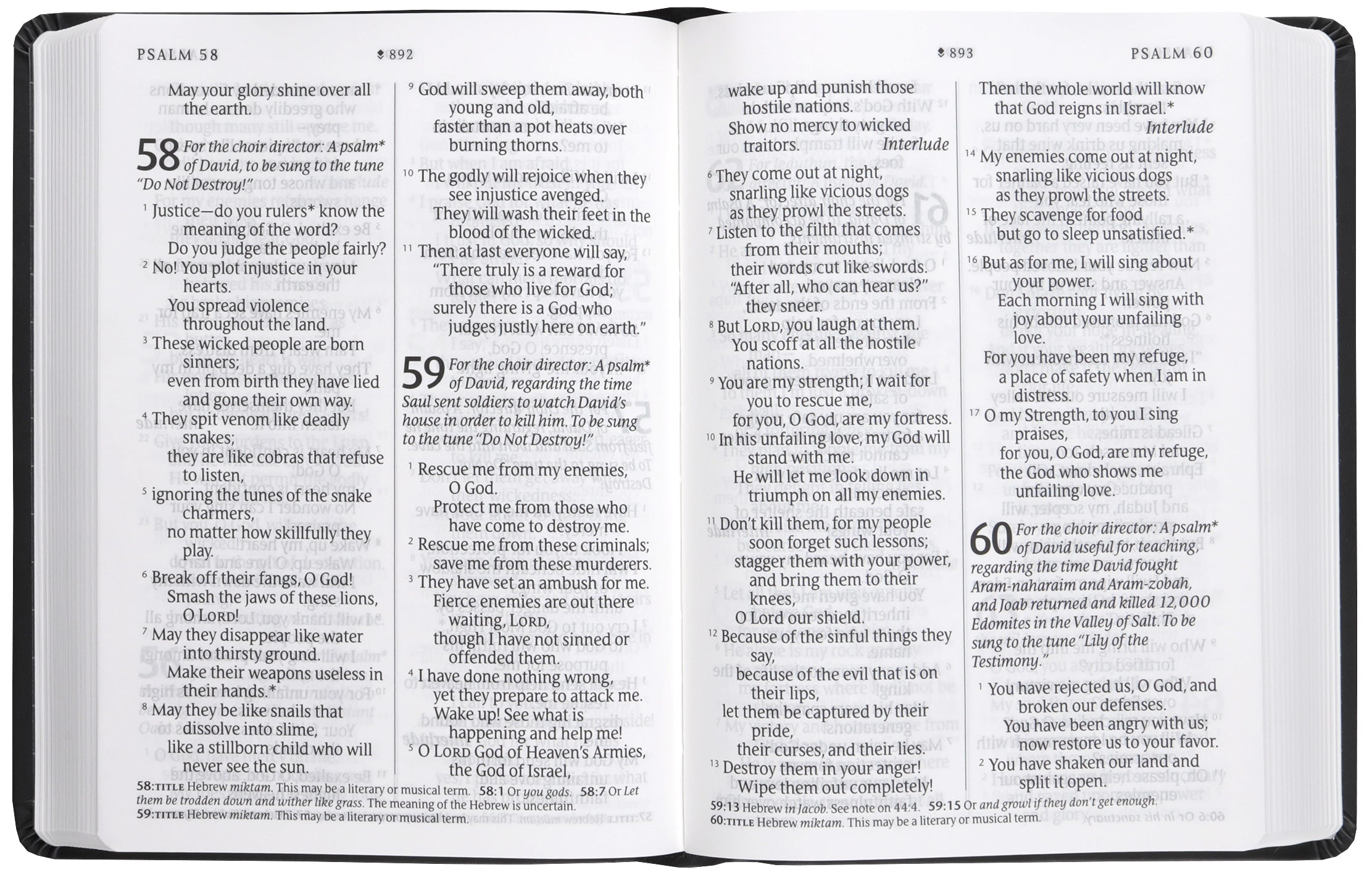 NLT Giant Print Premium Value Bible, Filament-Enabled, Black (Black Letter Edition)