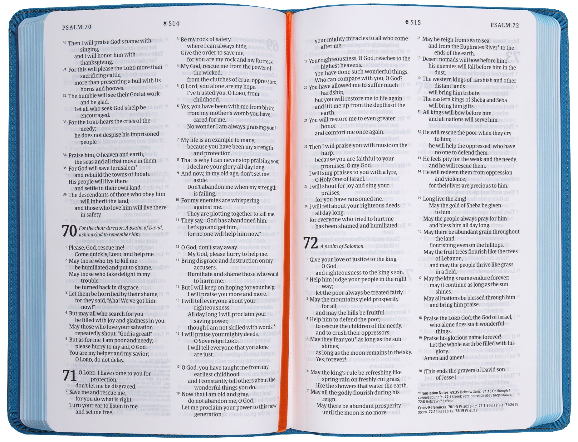 NLT Kids Bible, Thinline Reference Edition, Camo Blue (Red Letter Edition)