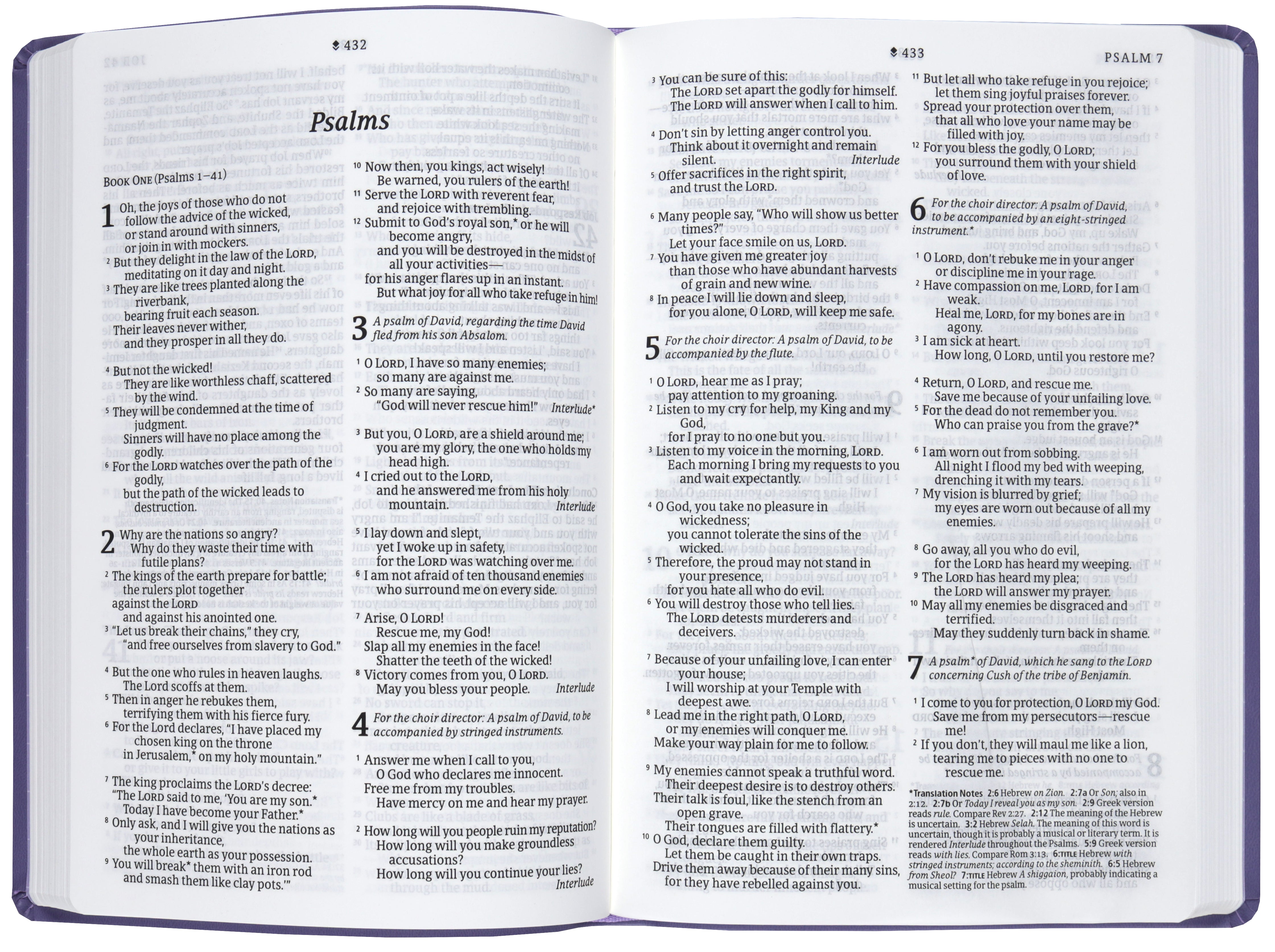 NLT Large Print Premium Value Thinline Bible, Filament-Enabled Edition, Lavender Song