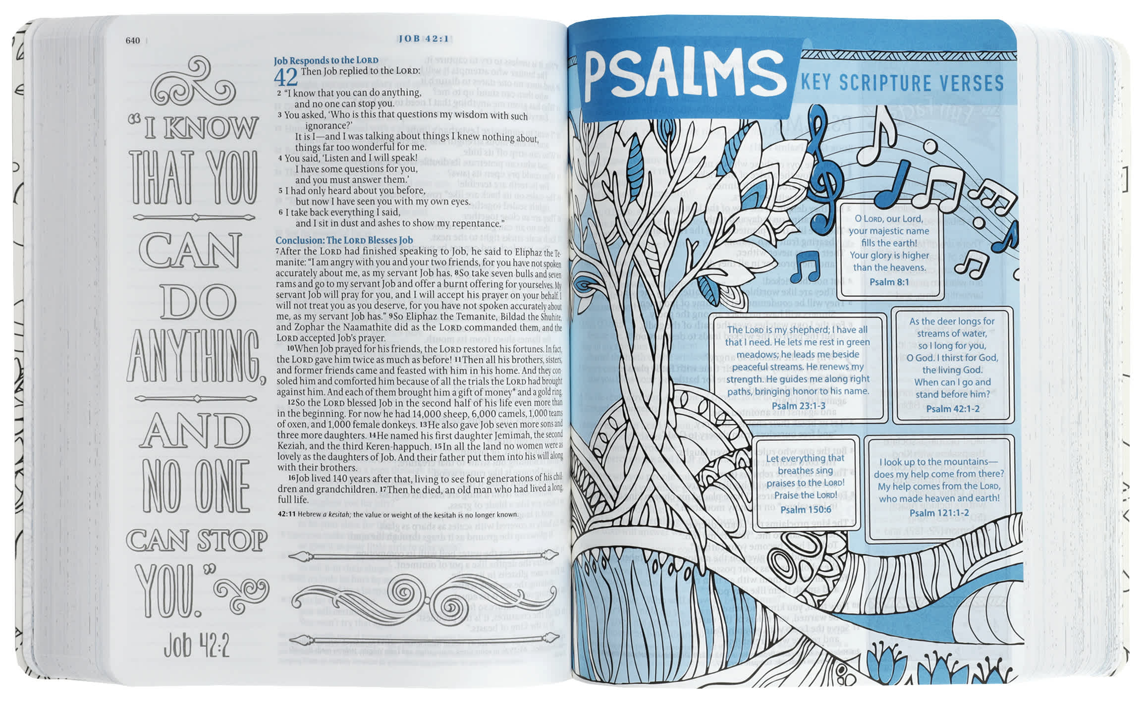 NLT Inspire Bible for Kids