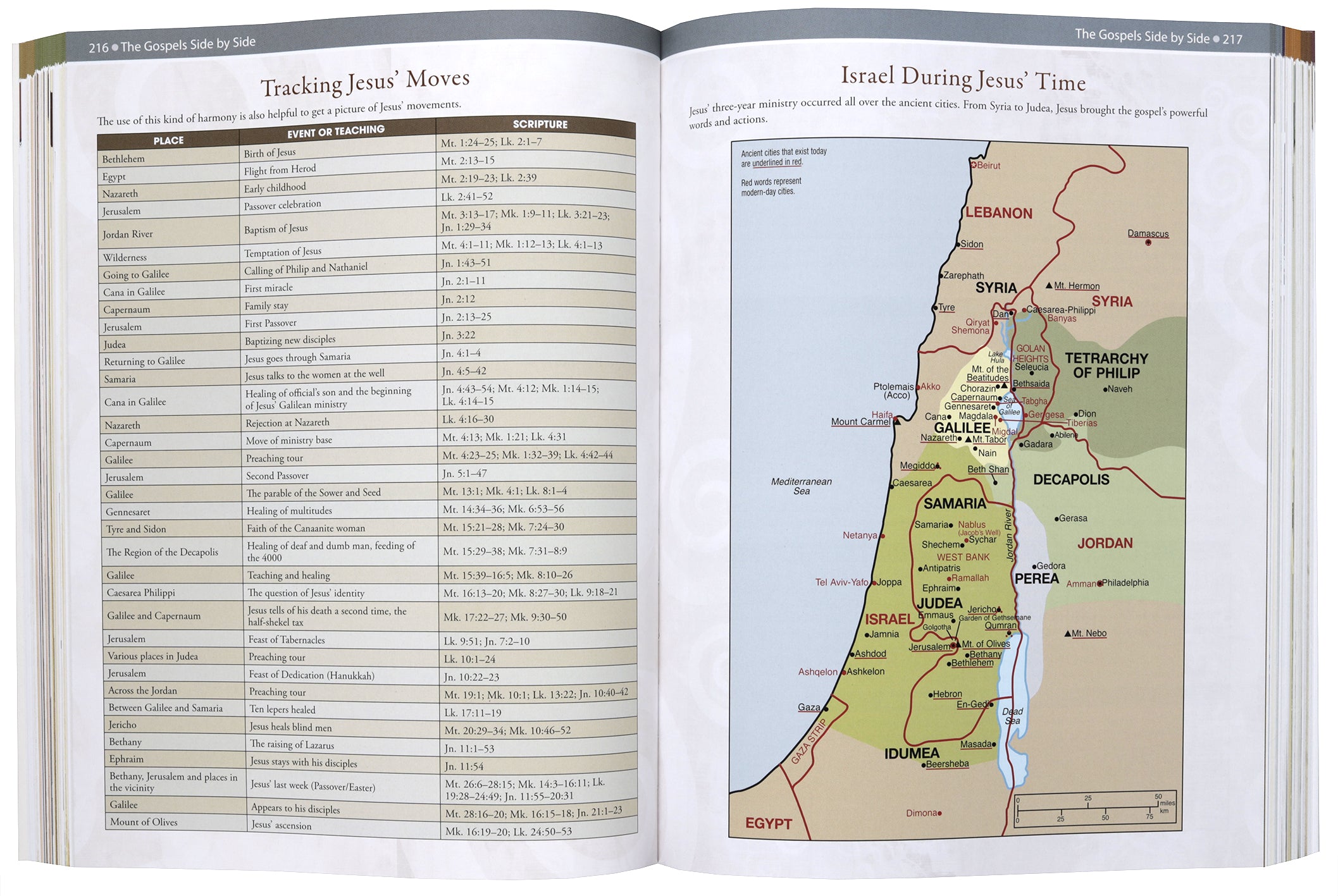 Rose Handbook of Bible Charts, Maps, and Timelines