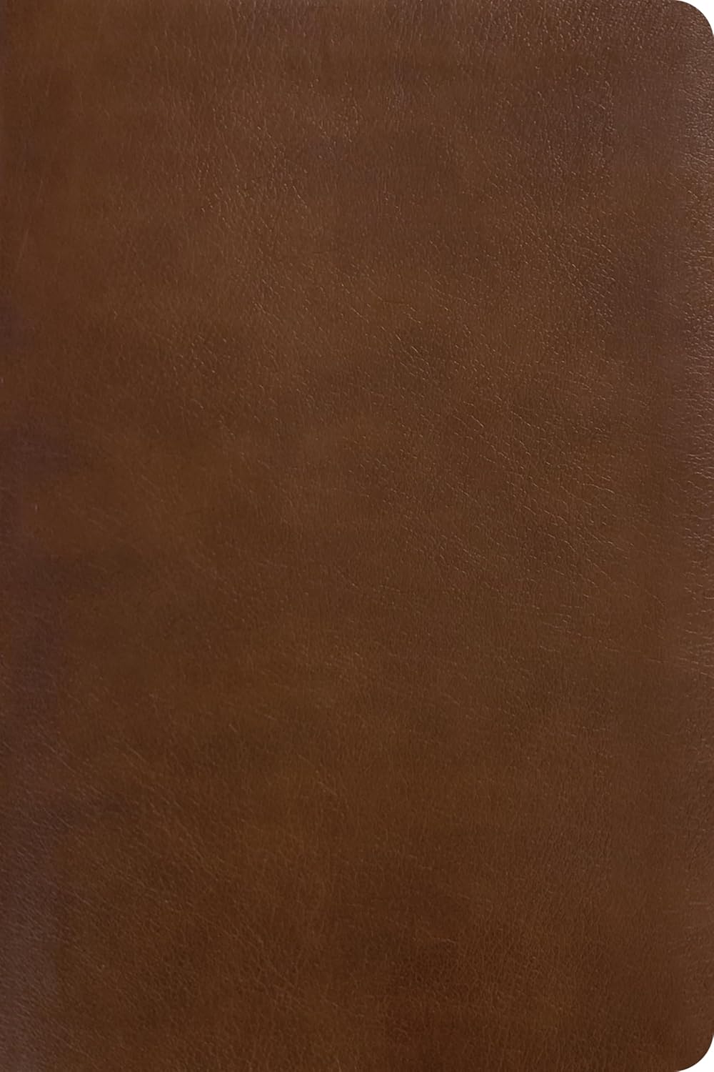NLT One Year Chronological Study Bible, Rustic Brown