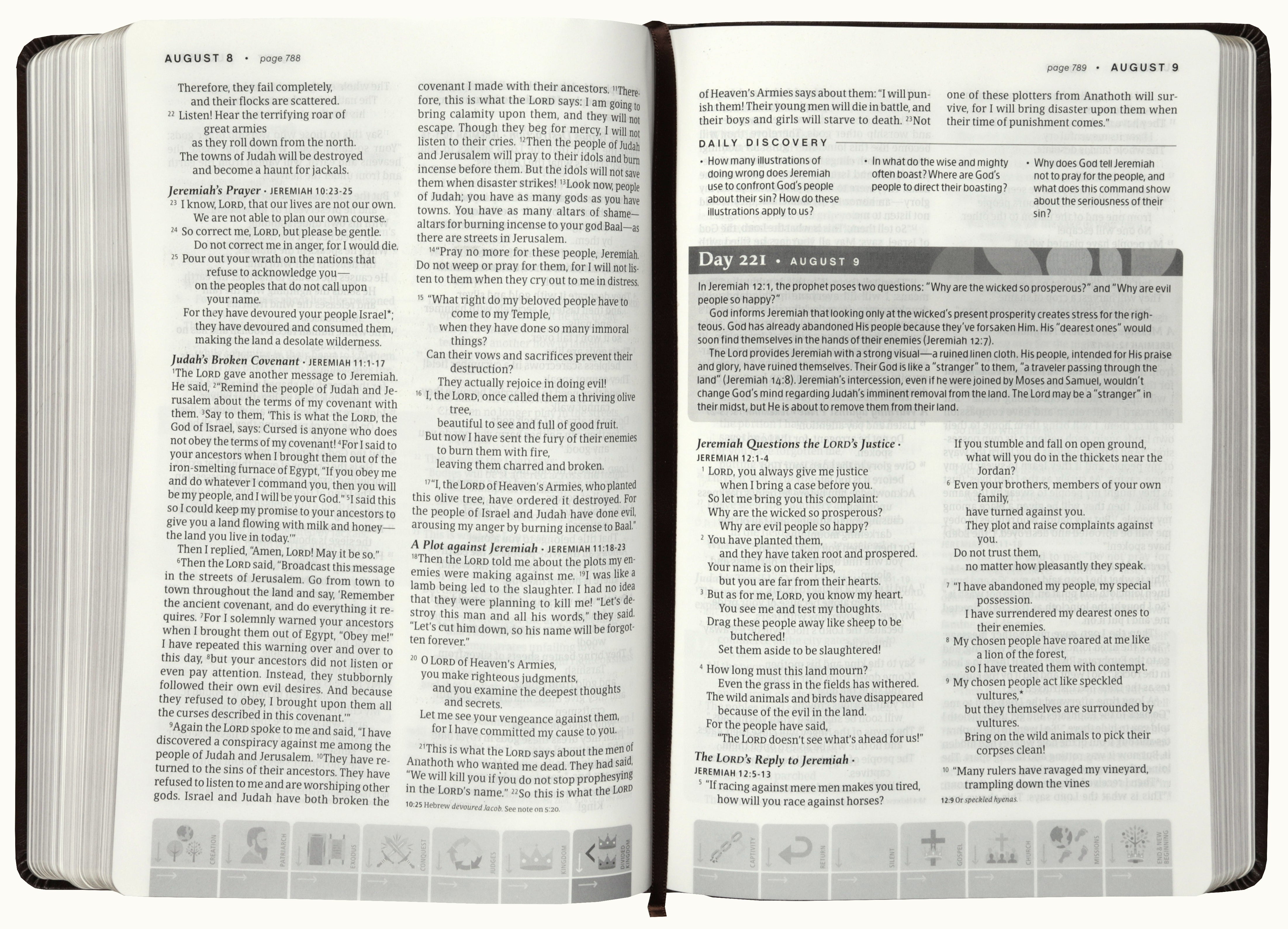 NLT One Year Chronological Study Bible, Rustic Brown