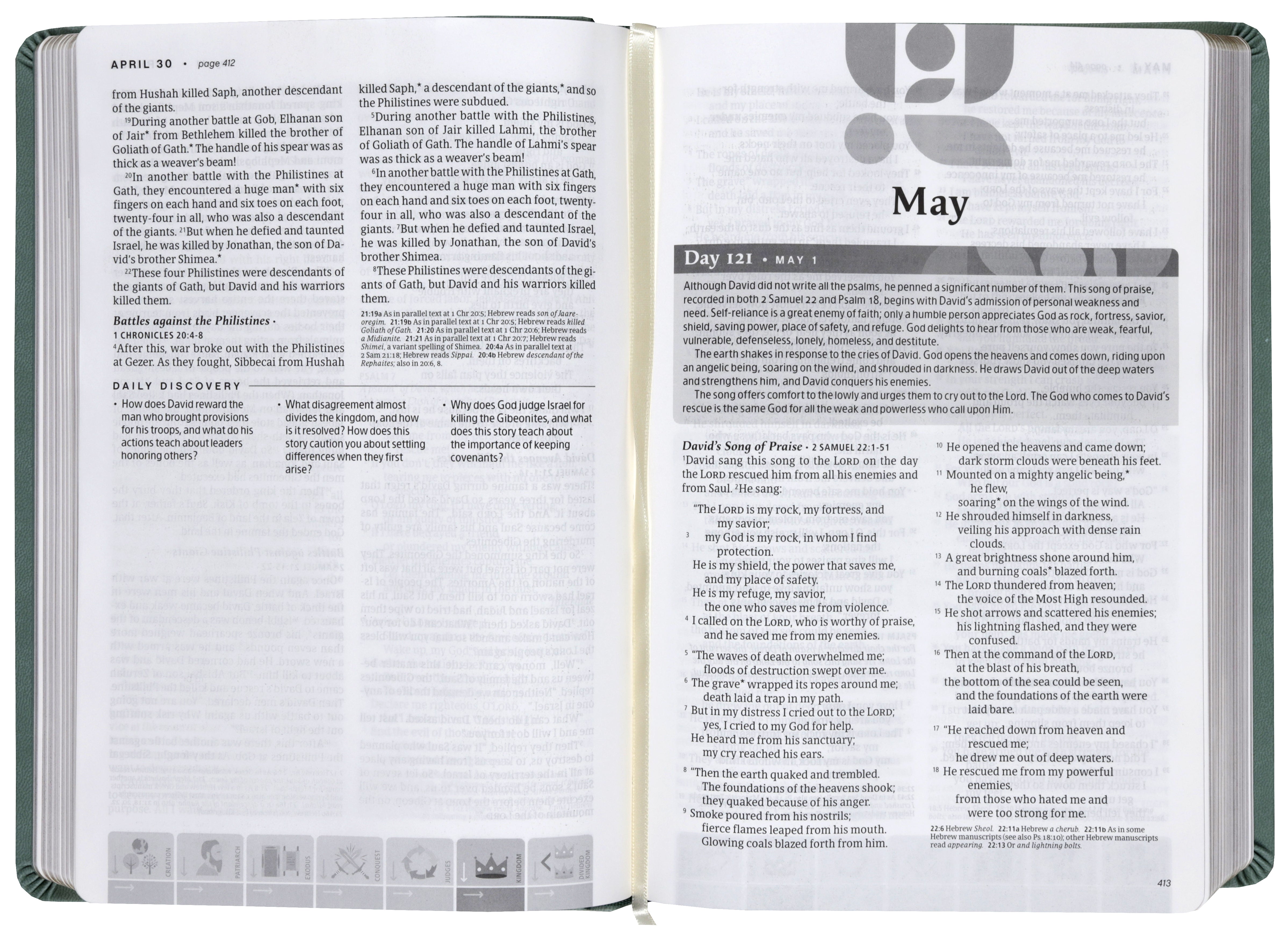 NLT One Year Chronological Study Bible, Sage Green Mosaic