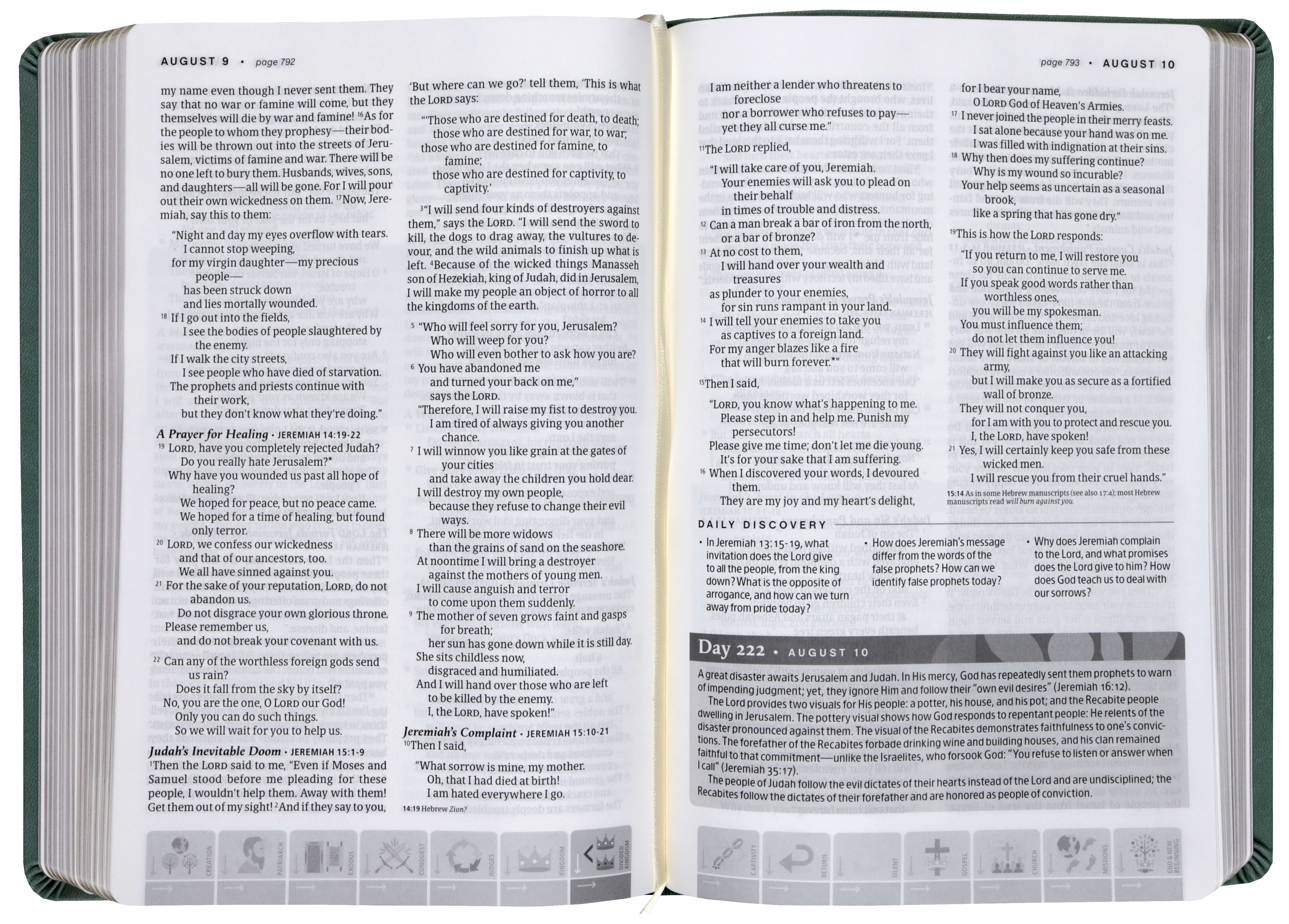 NLT One Year Chronological Study Bible, Sage Green Mosaic