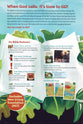 NLT Go Bible for Kids, Beach Sunrise