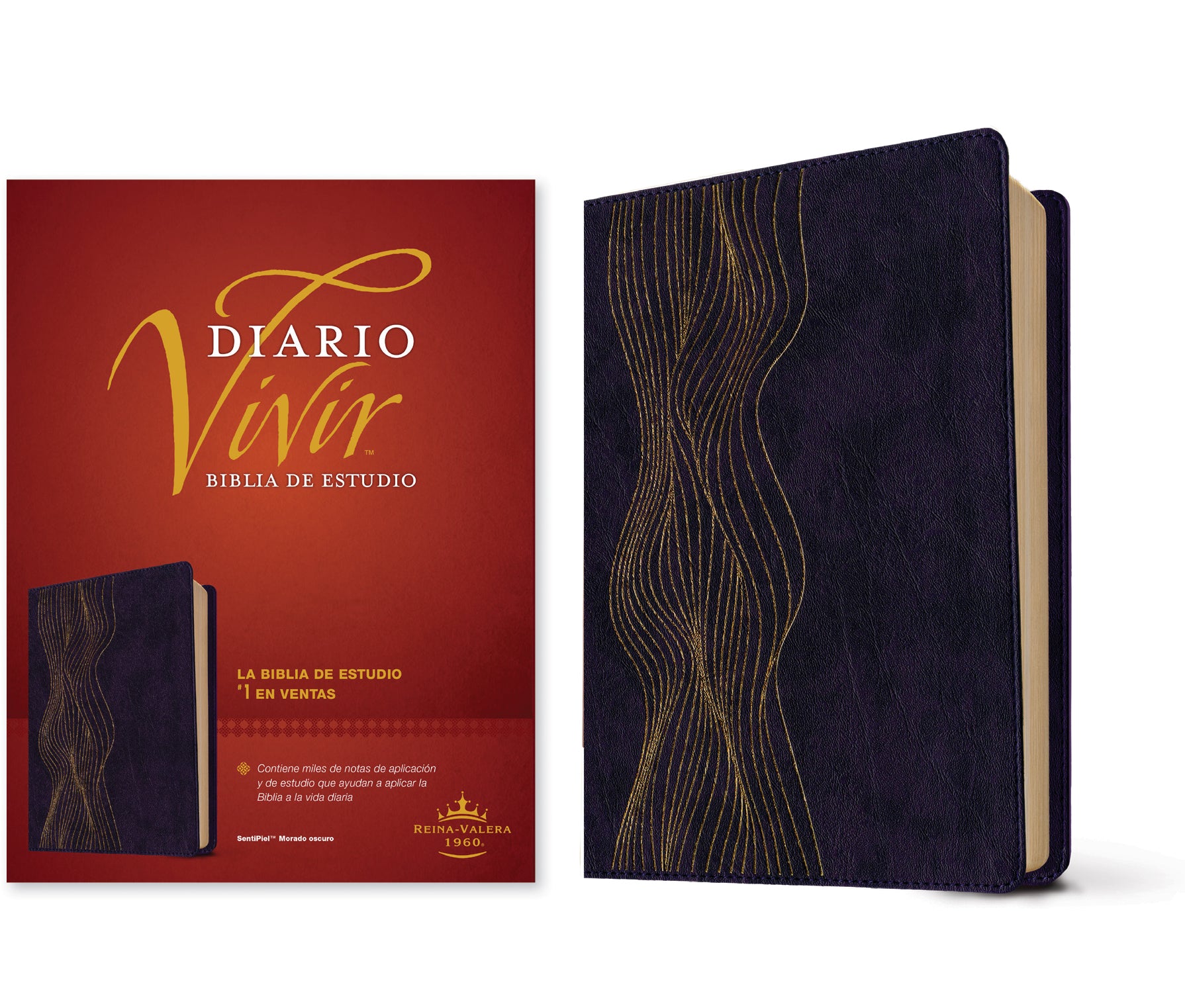 RVR60 Biblia de estudio del diario vivir Morado oscuro (Letra Roja) (RVR60 Daily Living Study Bible Dark Purple Red Letter, Spanish Edition)