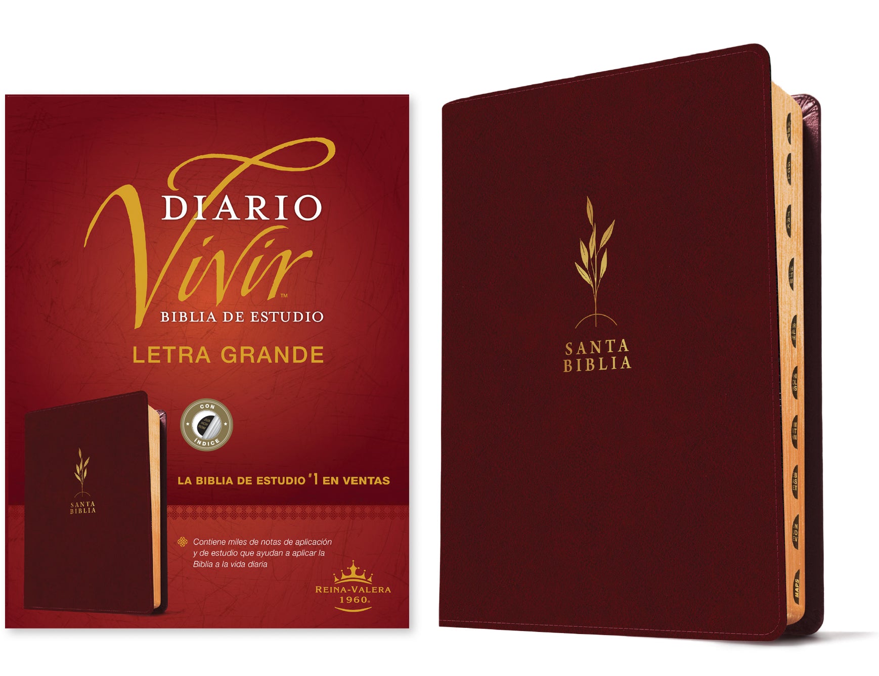 RVR60 Biblia de estudio del diario vivir letra grande Vino tinto Índice (Letra Roja) (RVR60 Daily Living Study Bible Large Print Burgundy Indexed Red Letter, Spanish Edition)