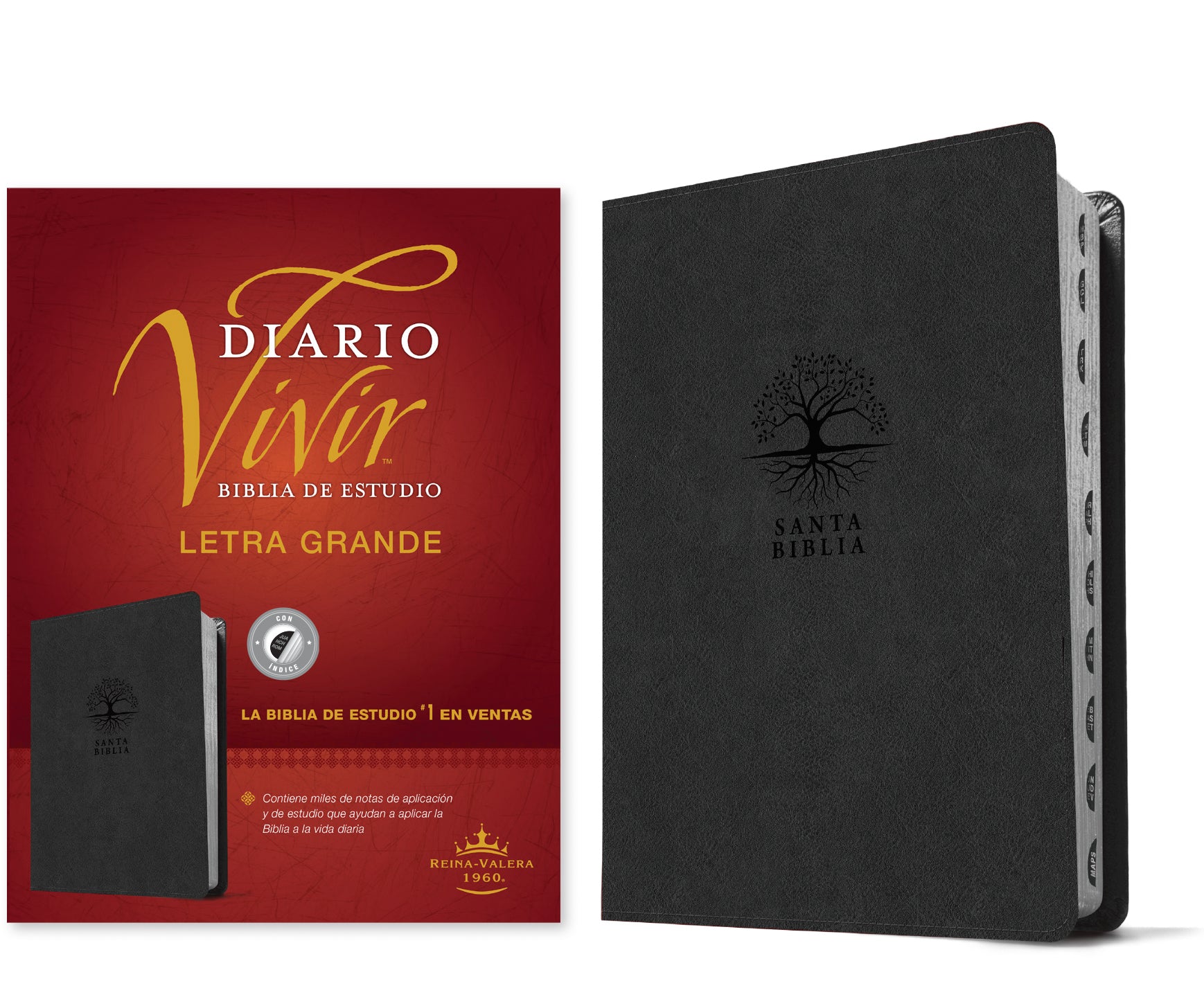 RVR60 Biblia de estudio del diario vivir letra grande Carbón Índice (Letra Roja) (RVR60 Daily Living Study Bible Large Print Charcoal Indexed Red Letter, Spanish Edition)