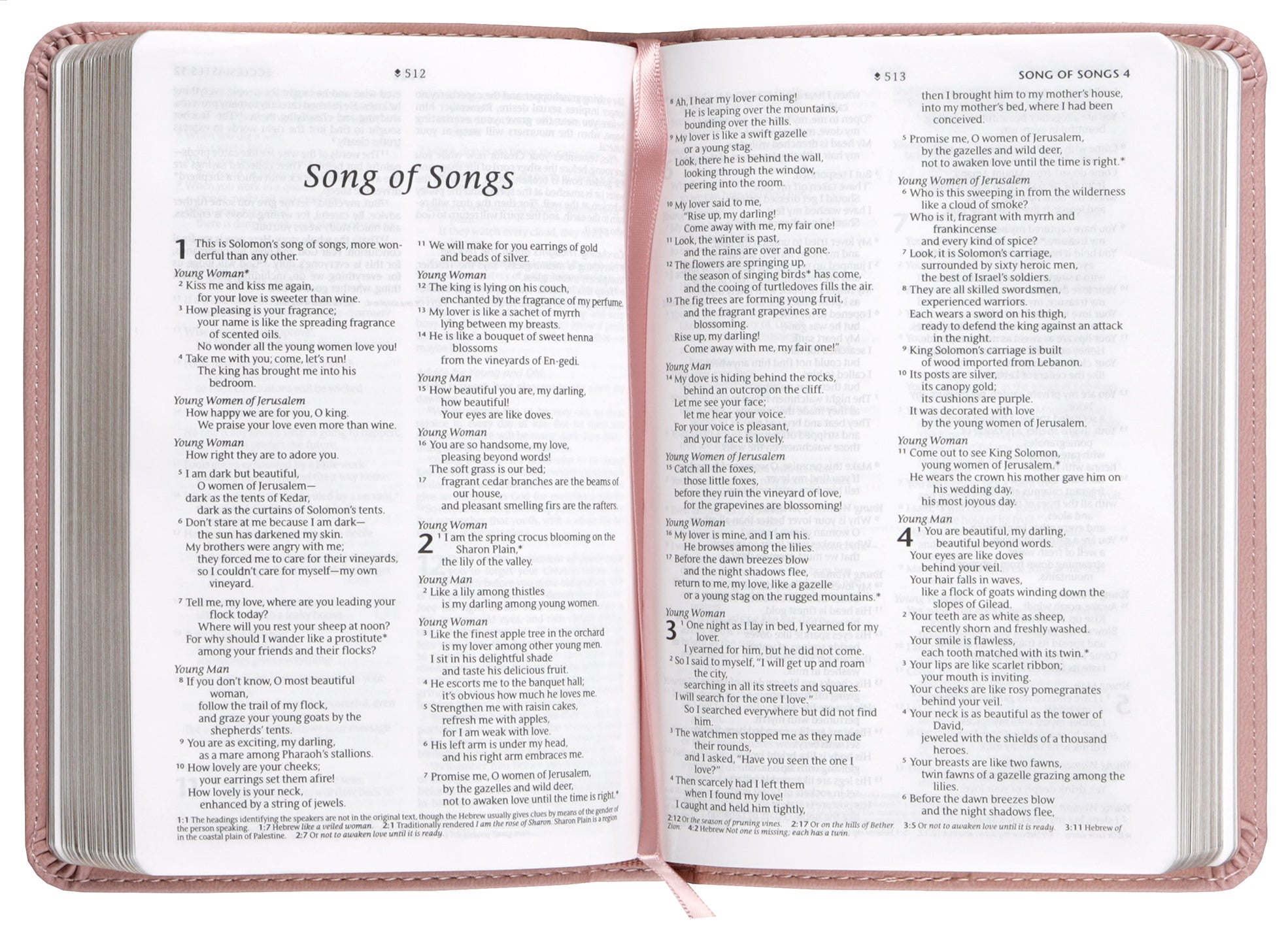 NLT Compact Bible Filament Enabled Holy Dusty Pink (Red Letter Edition)