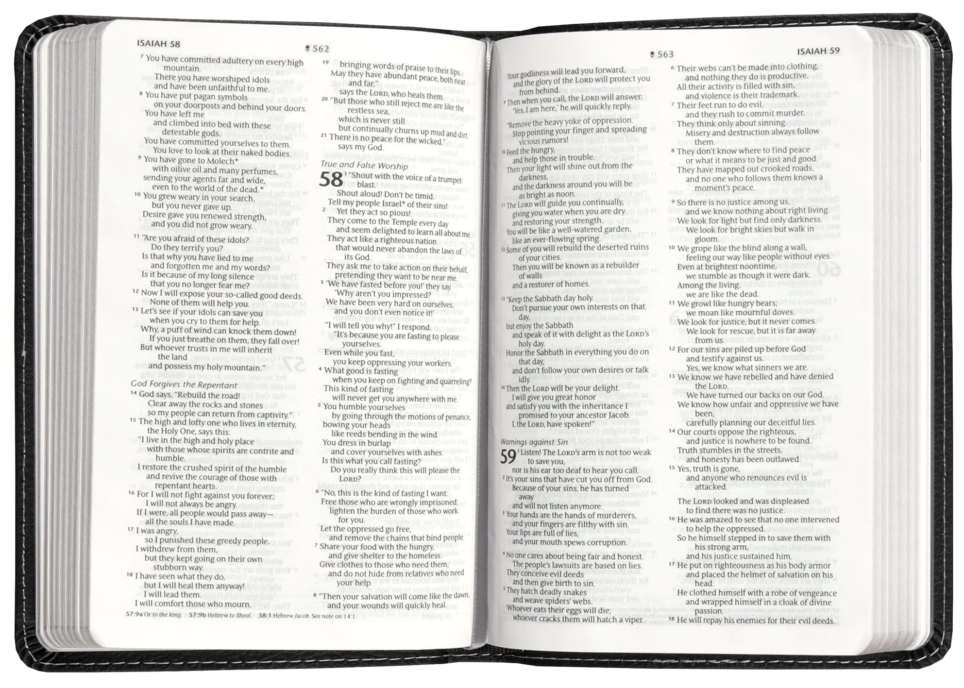 NLT Compact Bible Filament Enabled Regal Lion Black (Red Letter Edition)