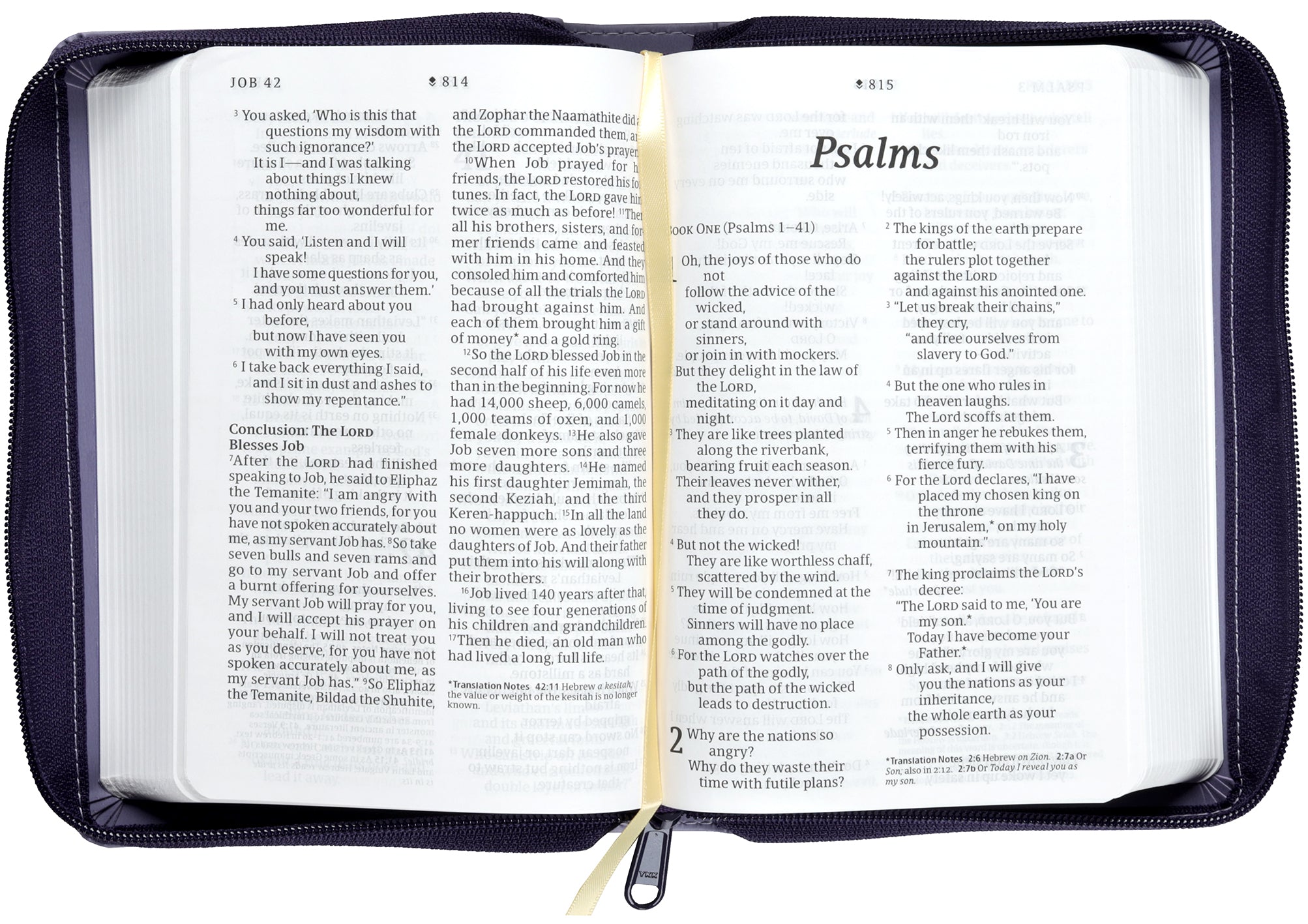 NLT Compact Giant Print Zipper Bible Filament Enabled Diamond Lavender (Red Letter Edition)