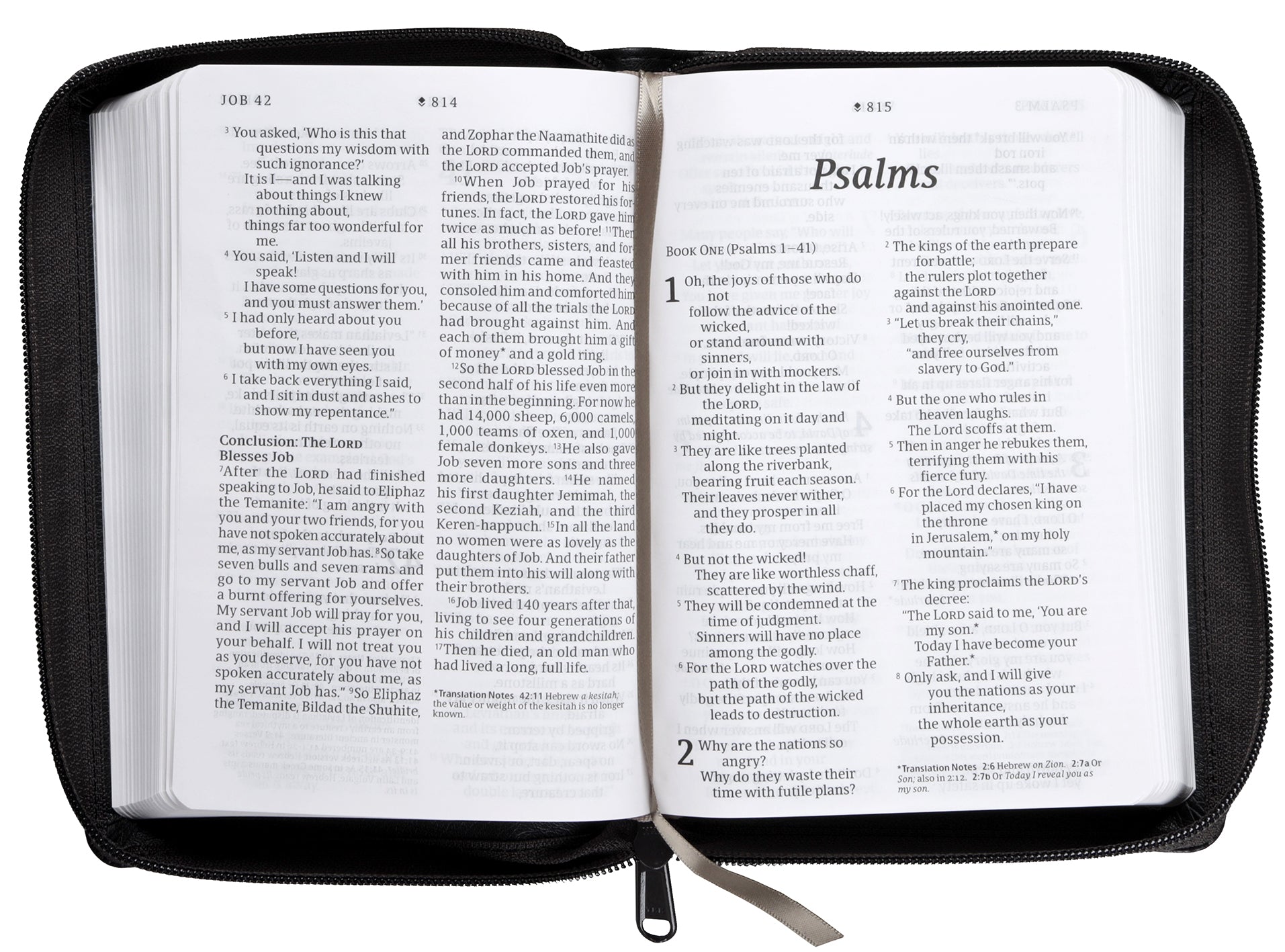 NLT Compact Giant Print Zipper Bible Filament Enabled Black Cross (Red Letter Edition)