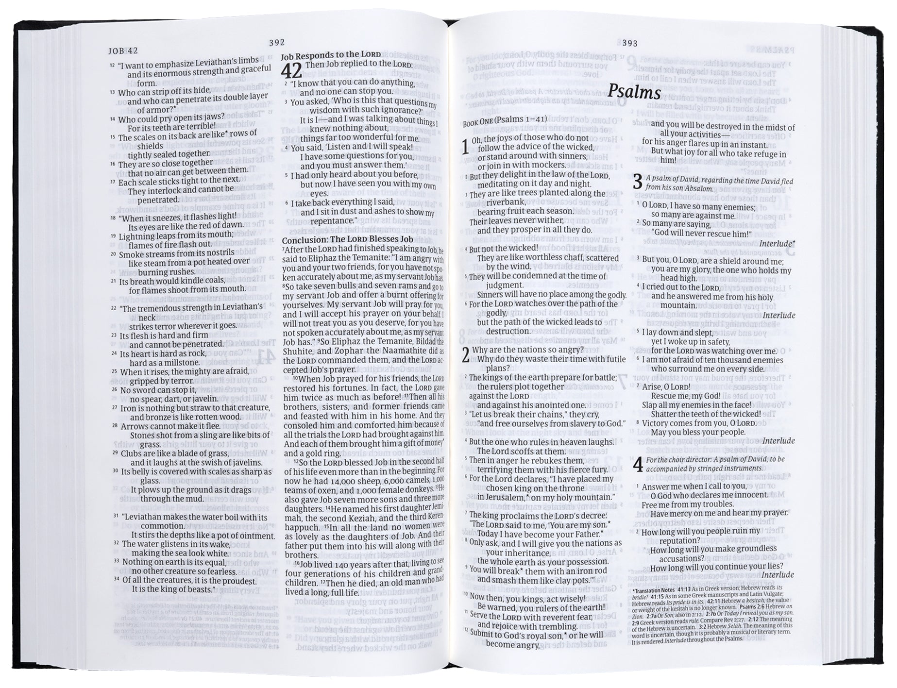 NLT Church Bible Black (Black Letter Edition)
