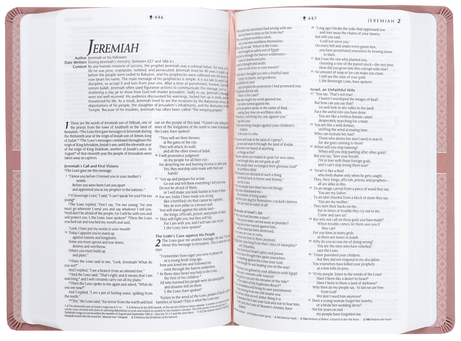 NLT Premium Gift Bible Filament Enabled Dusty Pink Petals (Red Letter Edition)