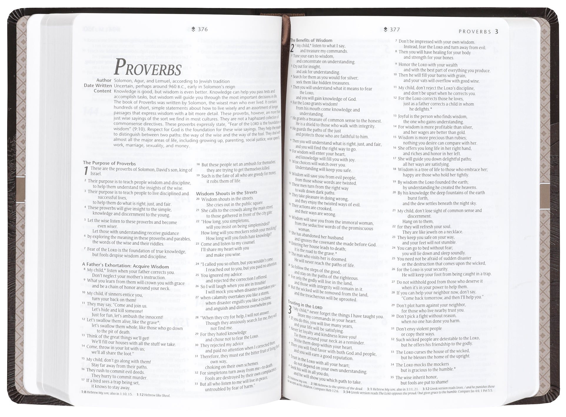 NLT Premium Gift Bible Filament Enabled, Starlight Path Brown (Red Letter Edition)