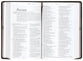 NLT Premium Gift Bible Filament Enabled, Starlight Path Brown (Red Letter Edition)