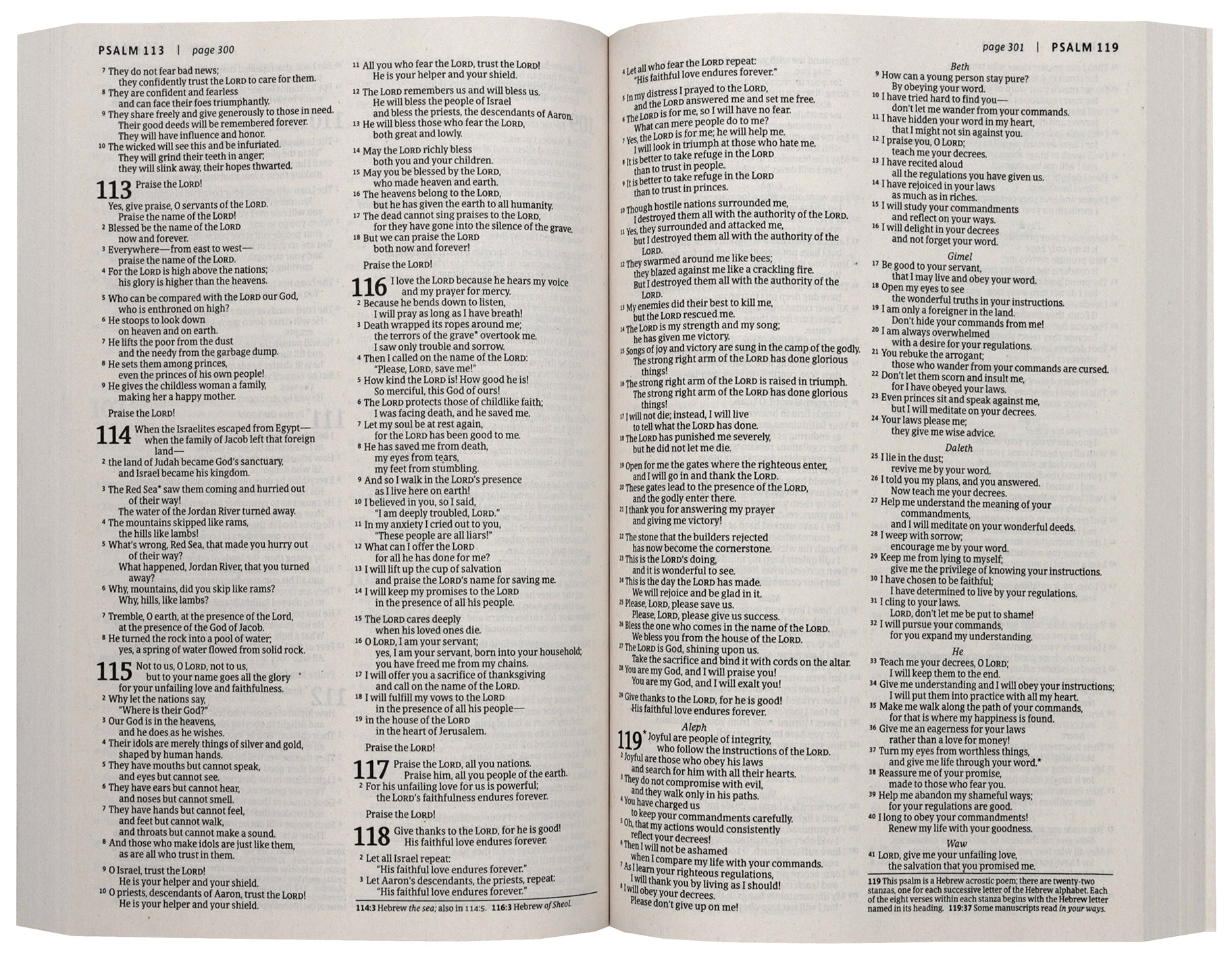 NLT Holy Bible, Economy Outreach Edition, Green