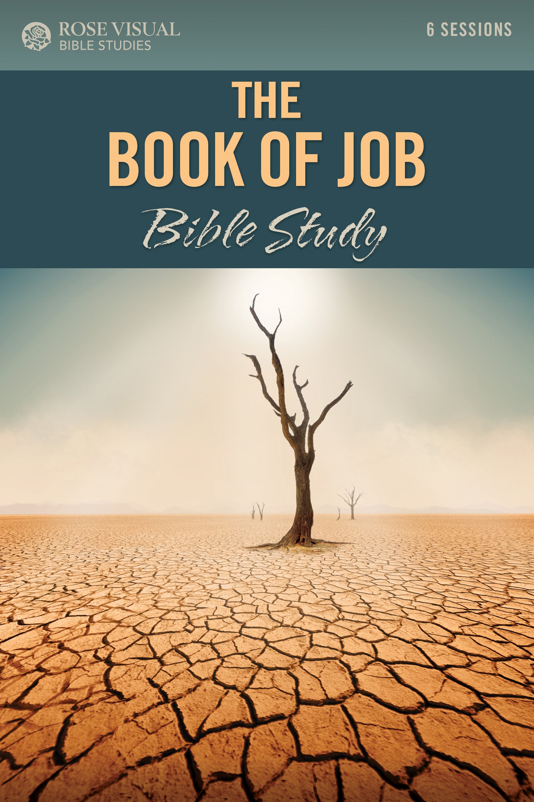 The Book of Job (6 Sessions, Rose Visual Bible Studies Series)