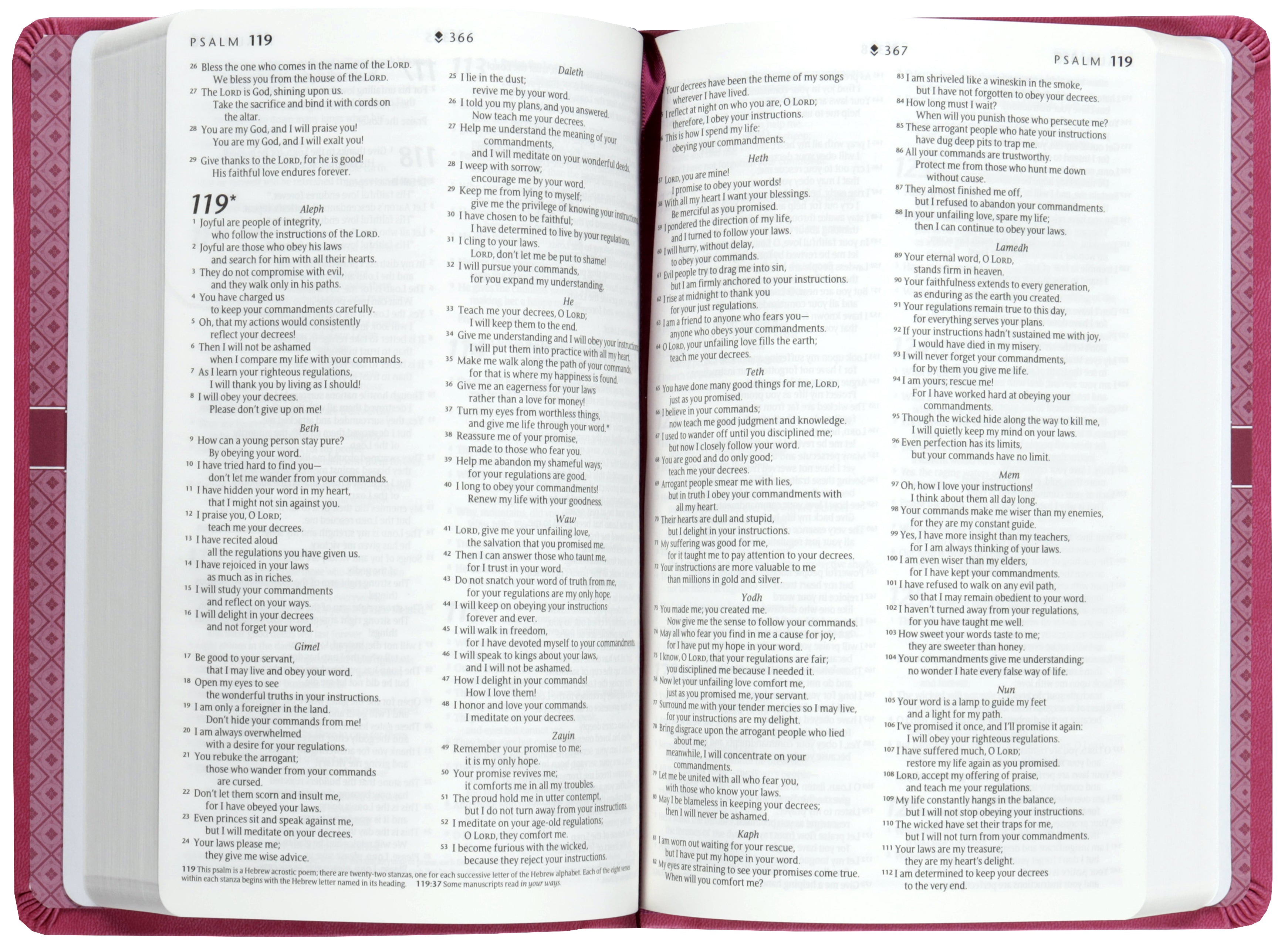 NLT Premium Gift Bible Very Berry Pink Vines (Red Letter Edition)
