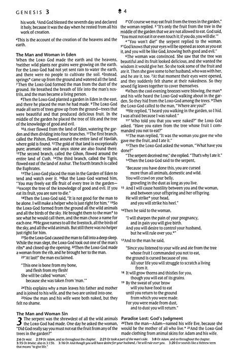 NLT Premium Gift Bible Dark Brown/Tan (Red Letter Edition)