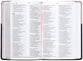 NLT Premium Gift Bible Pink/Dark Brown (Red Letter Edition)