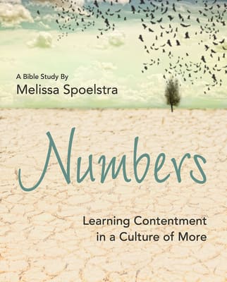 Numbers - Women's Bible Study: Learning Contentment in a Culture of More (Participant Workbook)